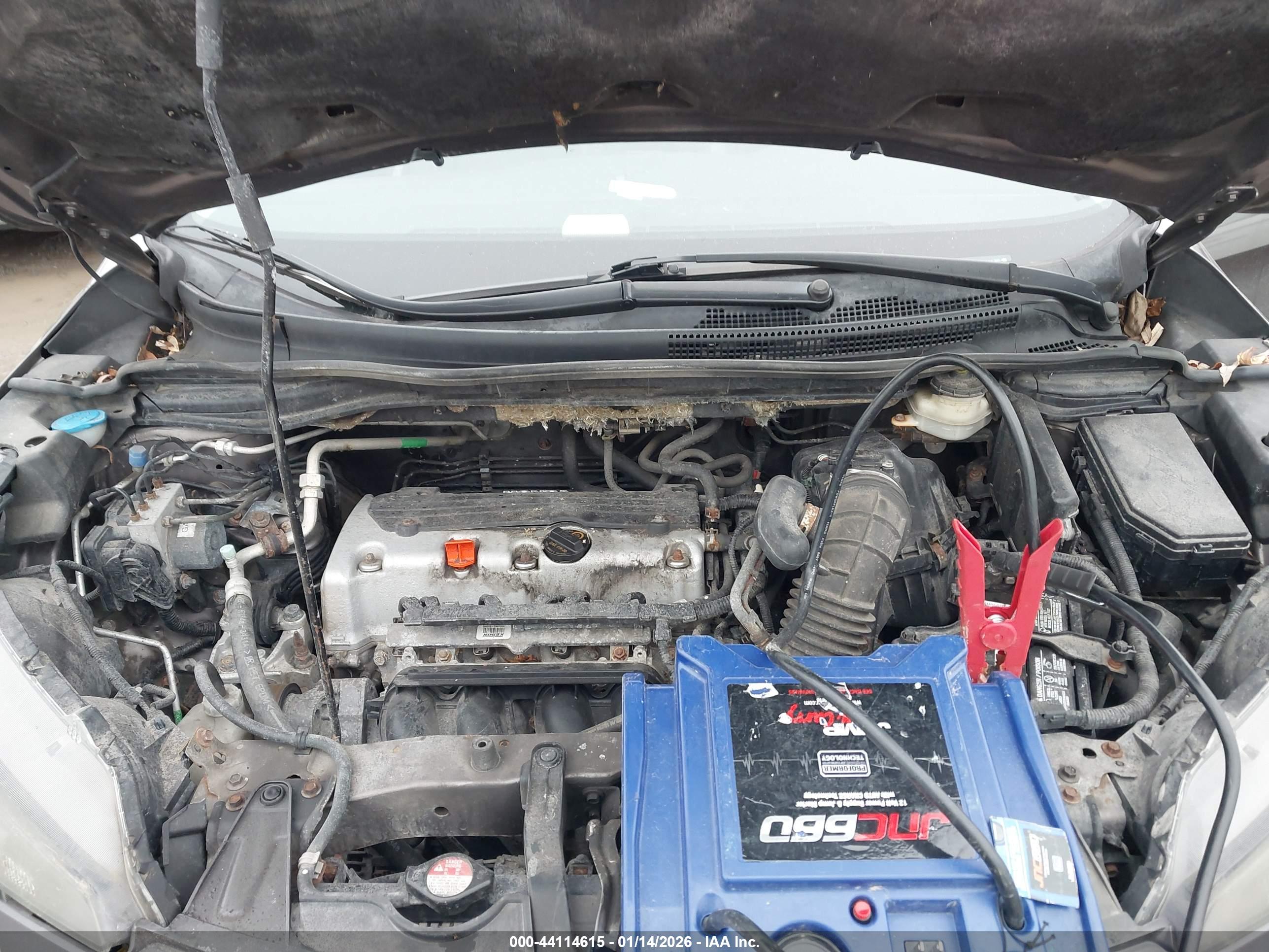 HONDA CR-V image 10
