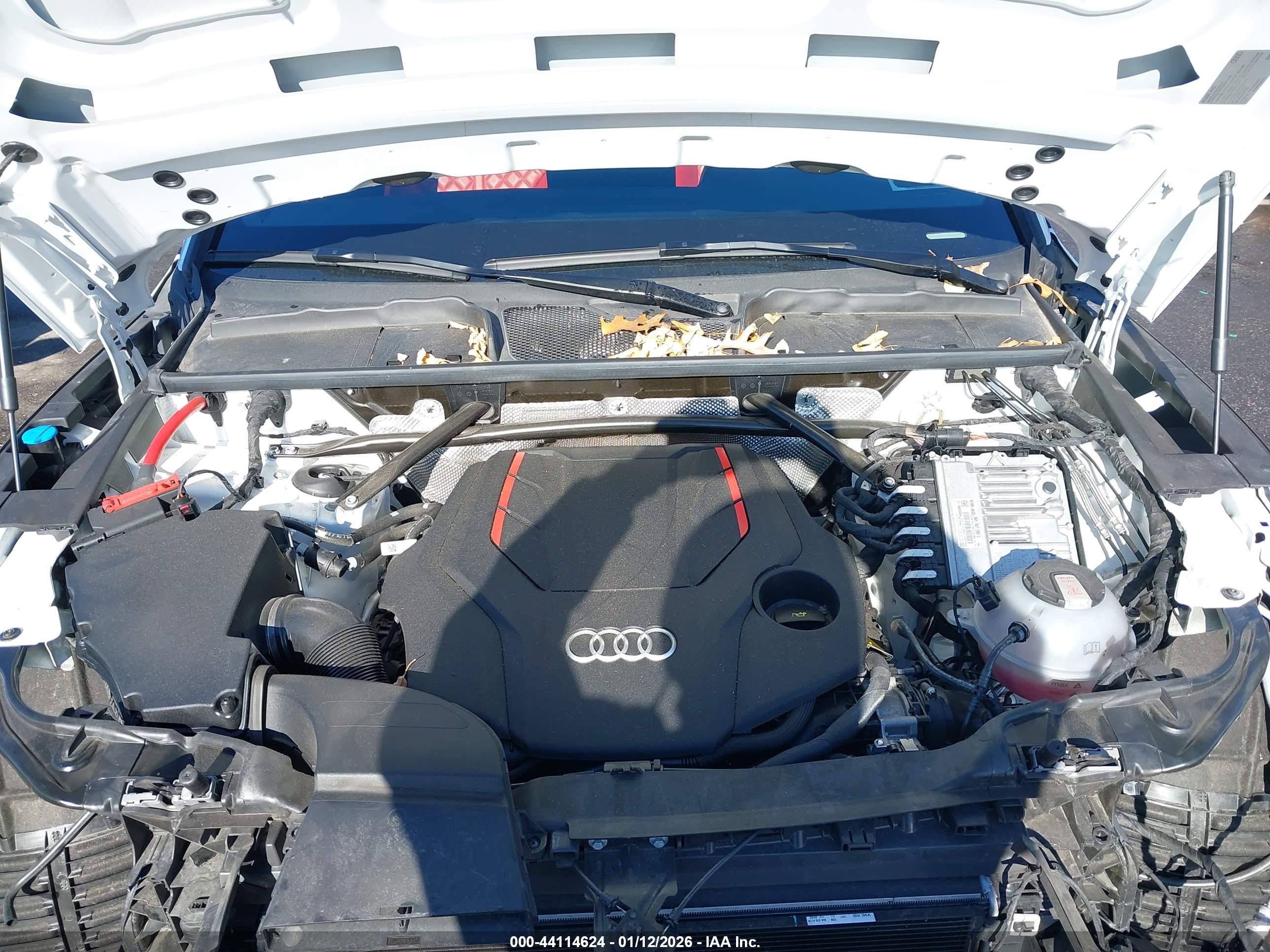 AUDI SQ5 image 10