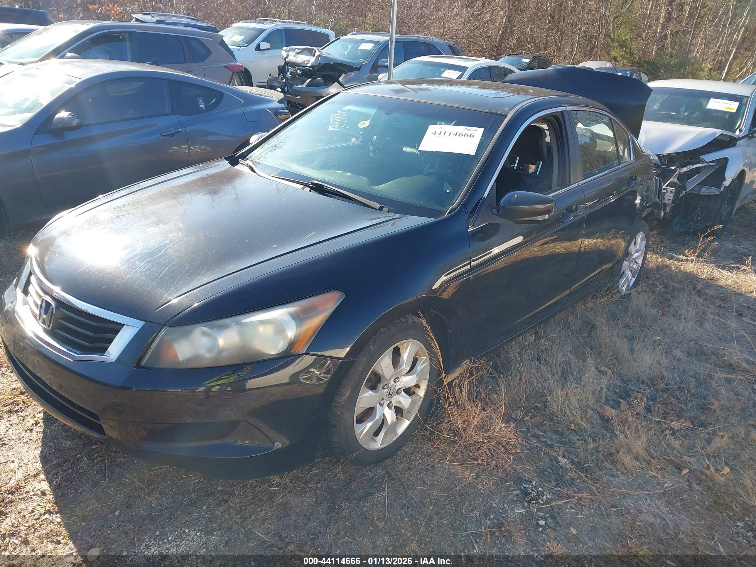 HONDA ACCORD image 2