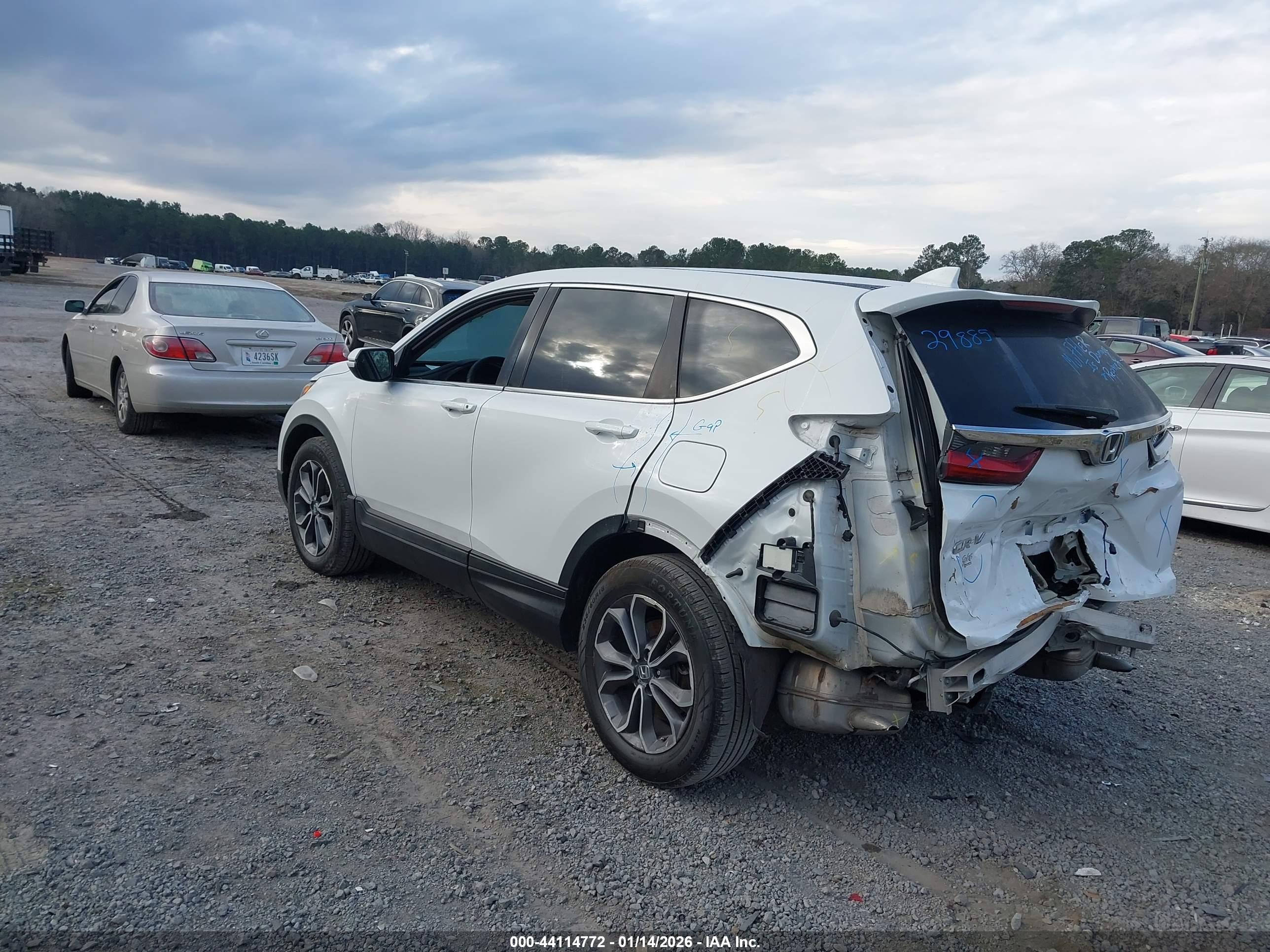 HONDA CR-V image 3