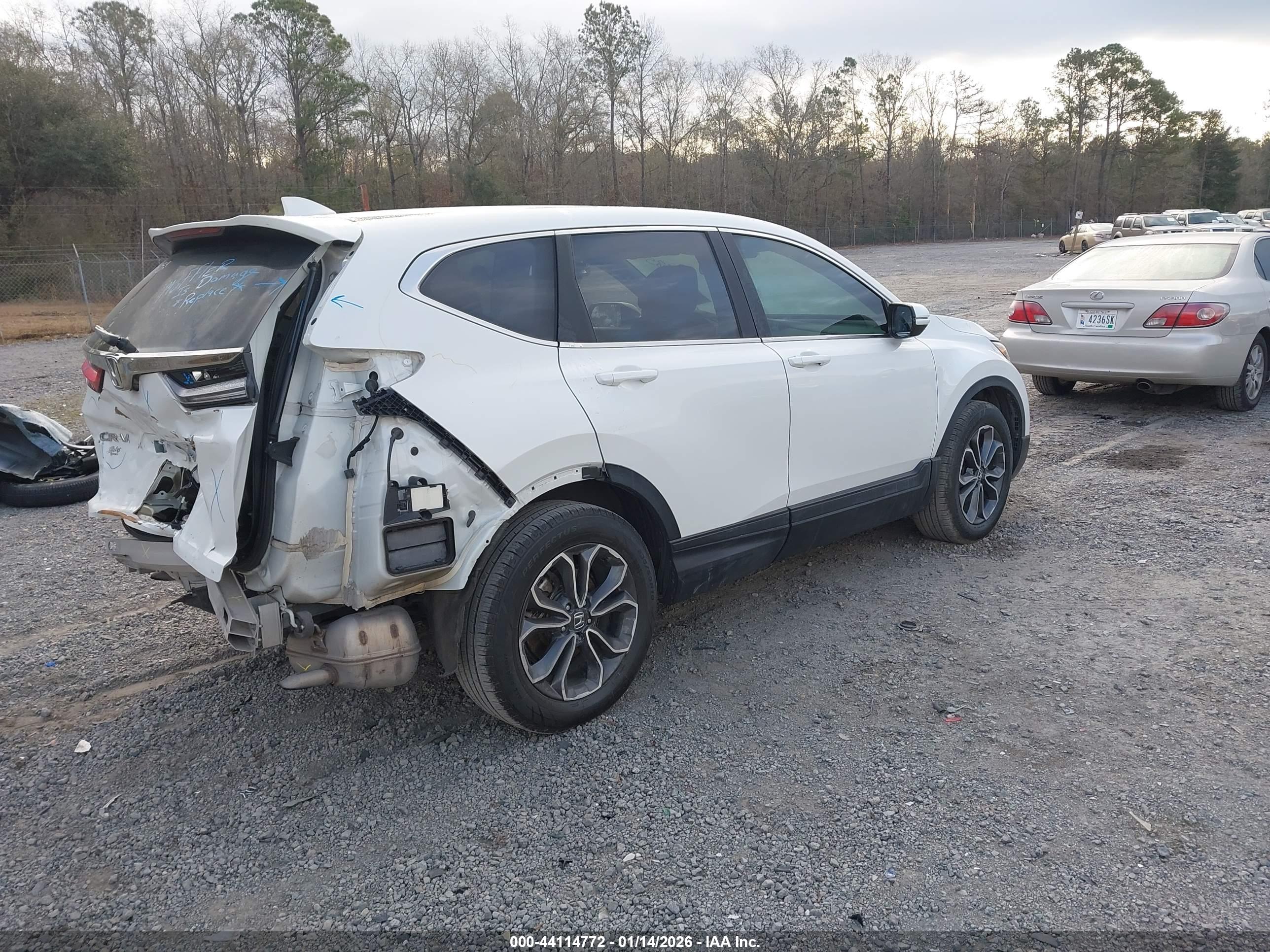 HONDA CR-V image 4