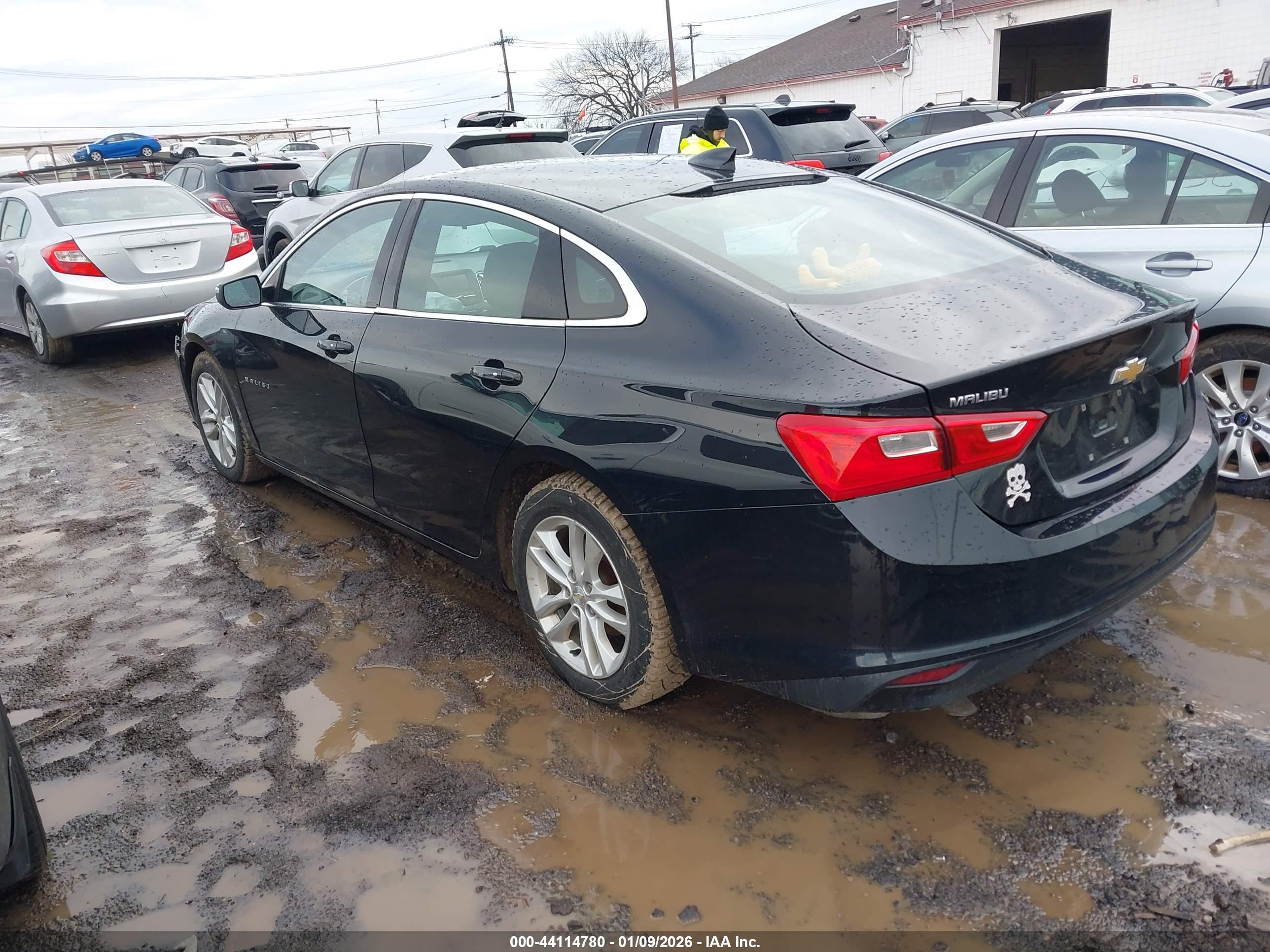 CHEVROLET MALIBU image 3