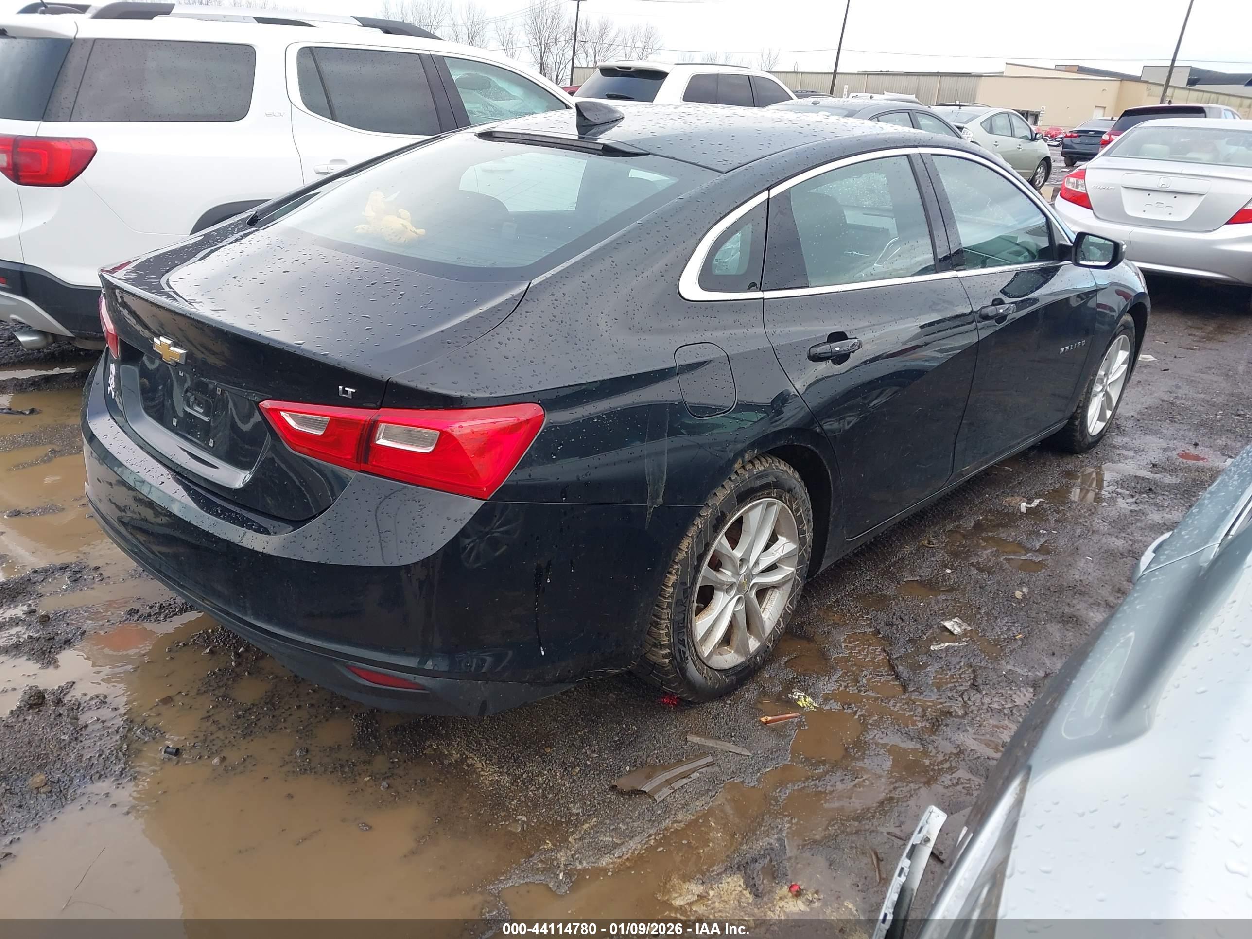 CHEVROLET MALIBU image 4