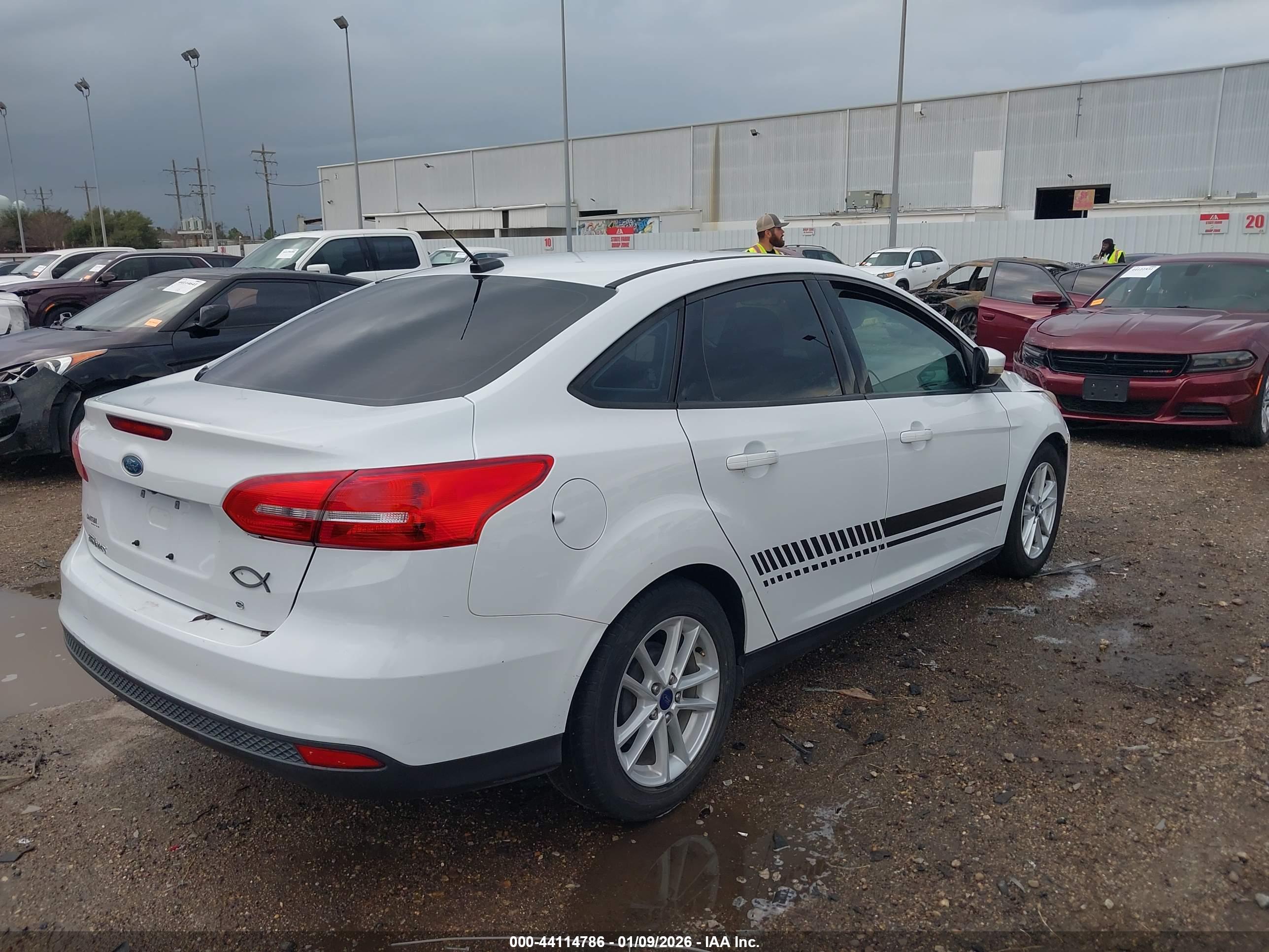 FORD FOCUS image 4