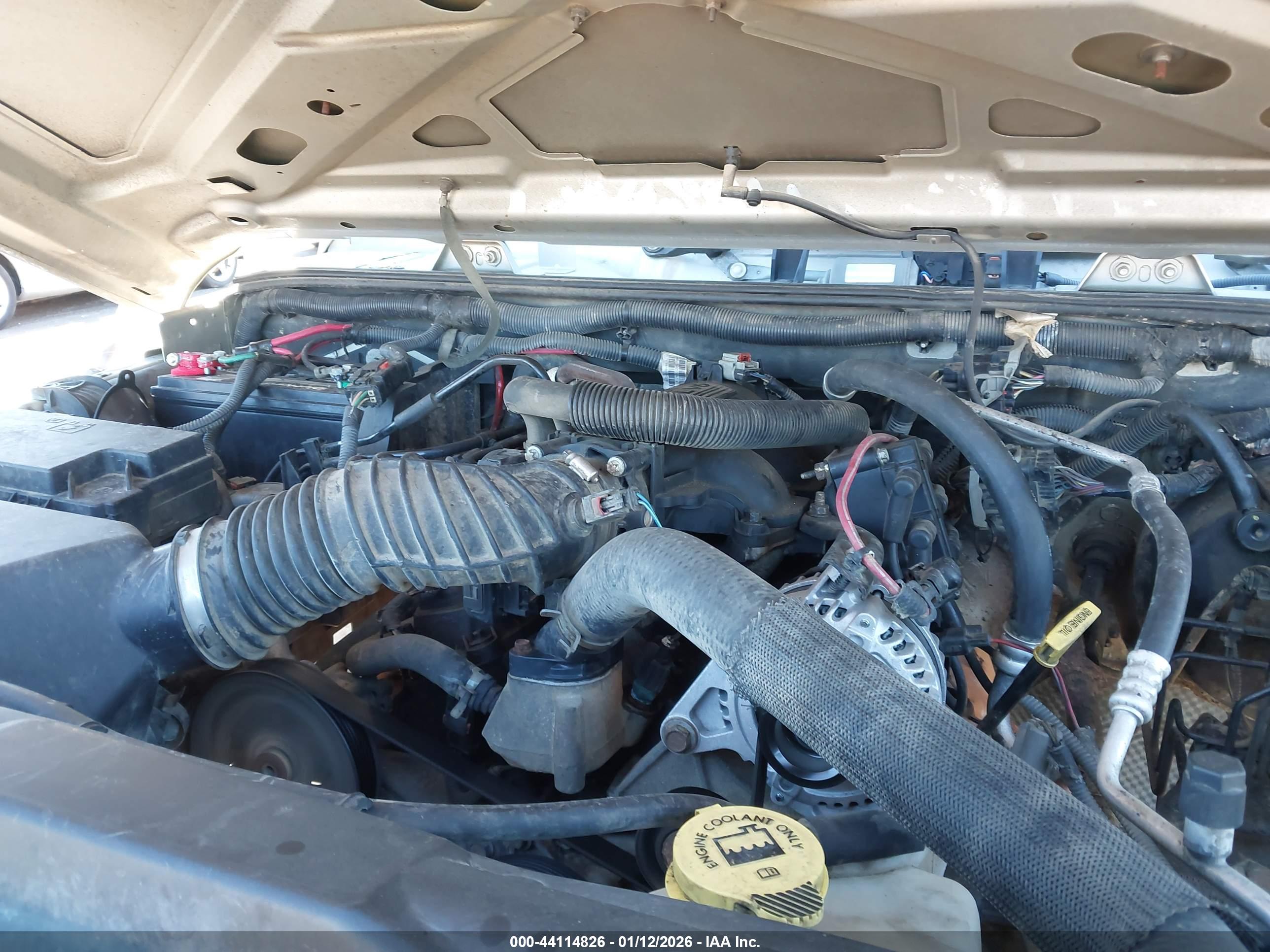 JEEP WRANGLER image 10