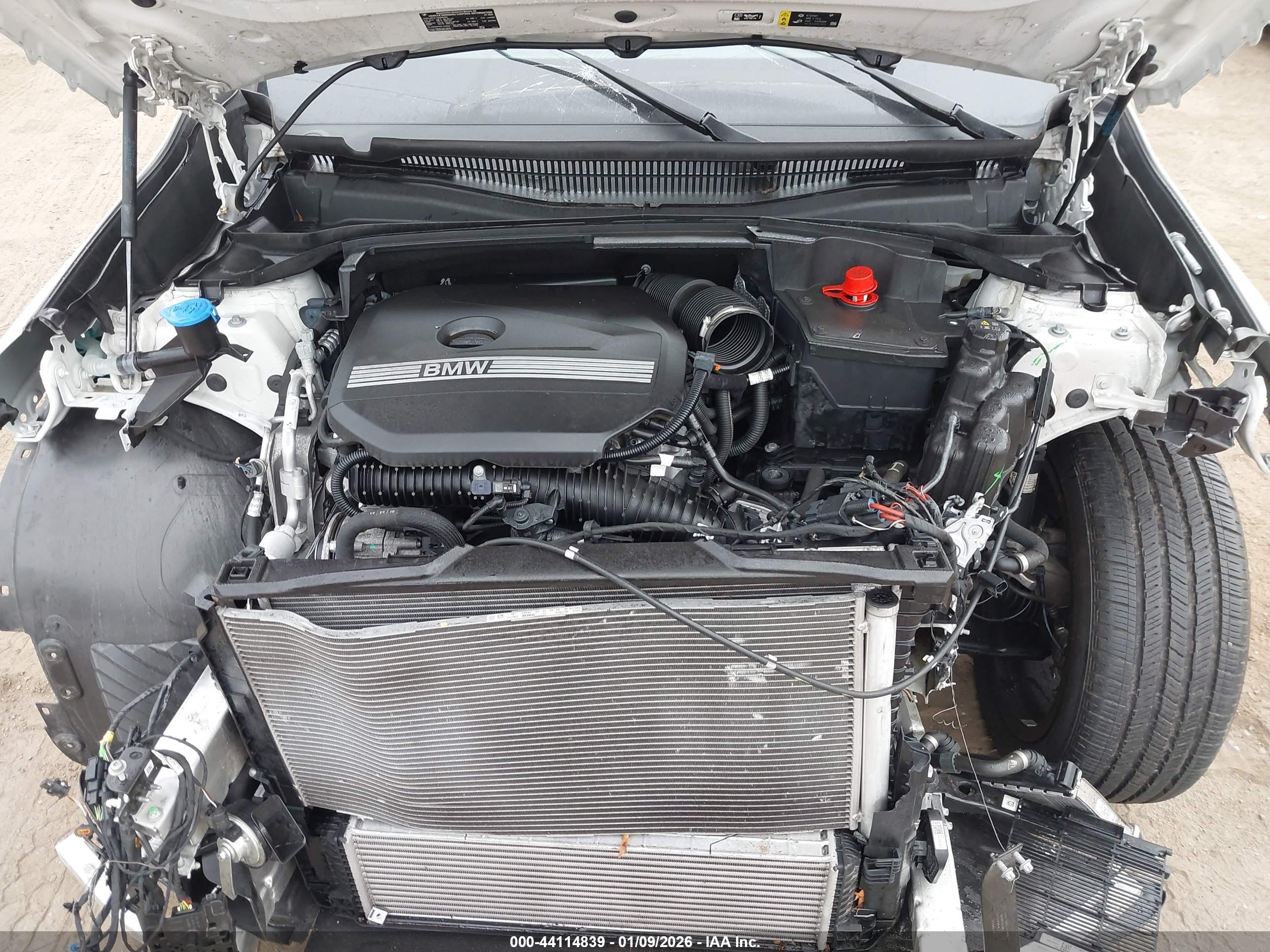 BMW X1 image 10