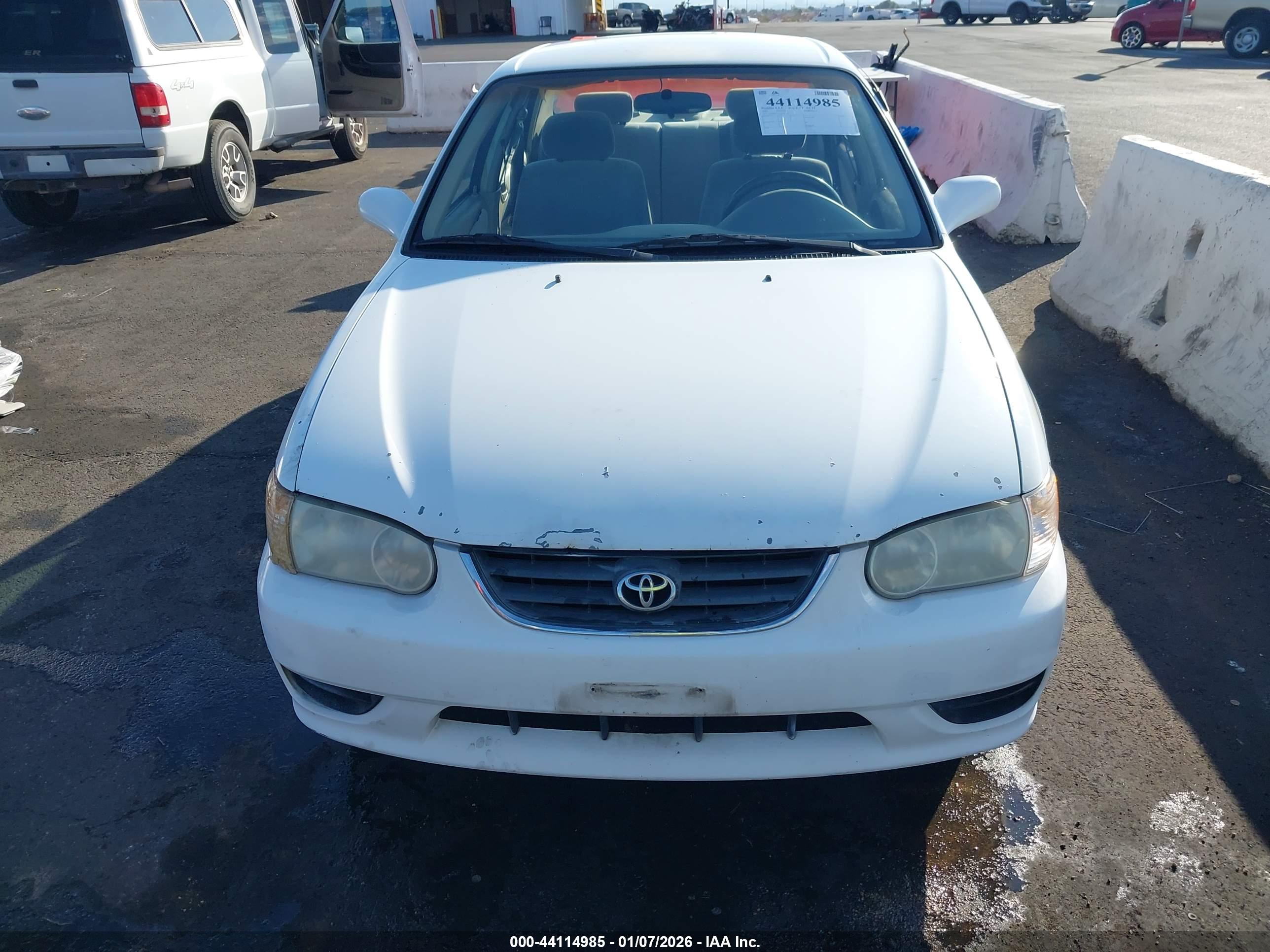 TOYOTA COROLLA image 6