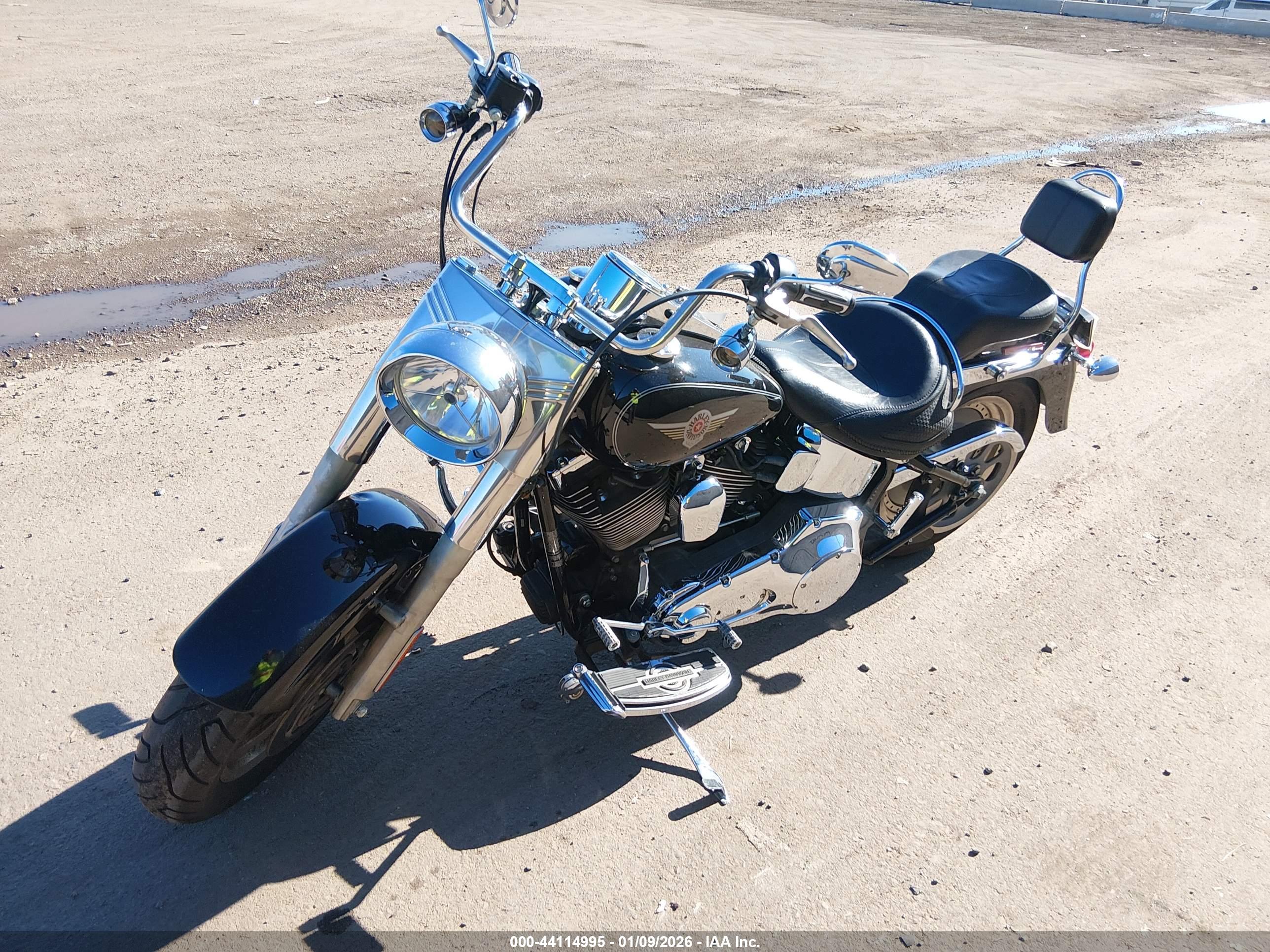 HARLEY-DAVIDSON FLSTF image 2