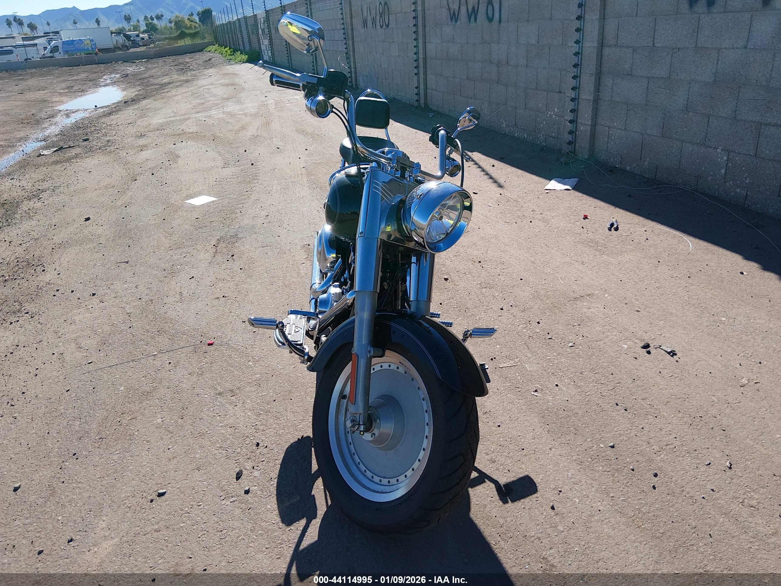 HARLEY-DAVIDSON FLSTF image 5
