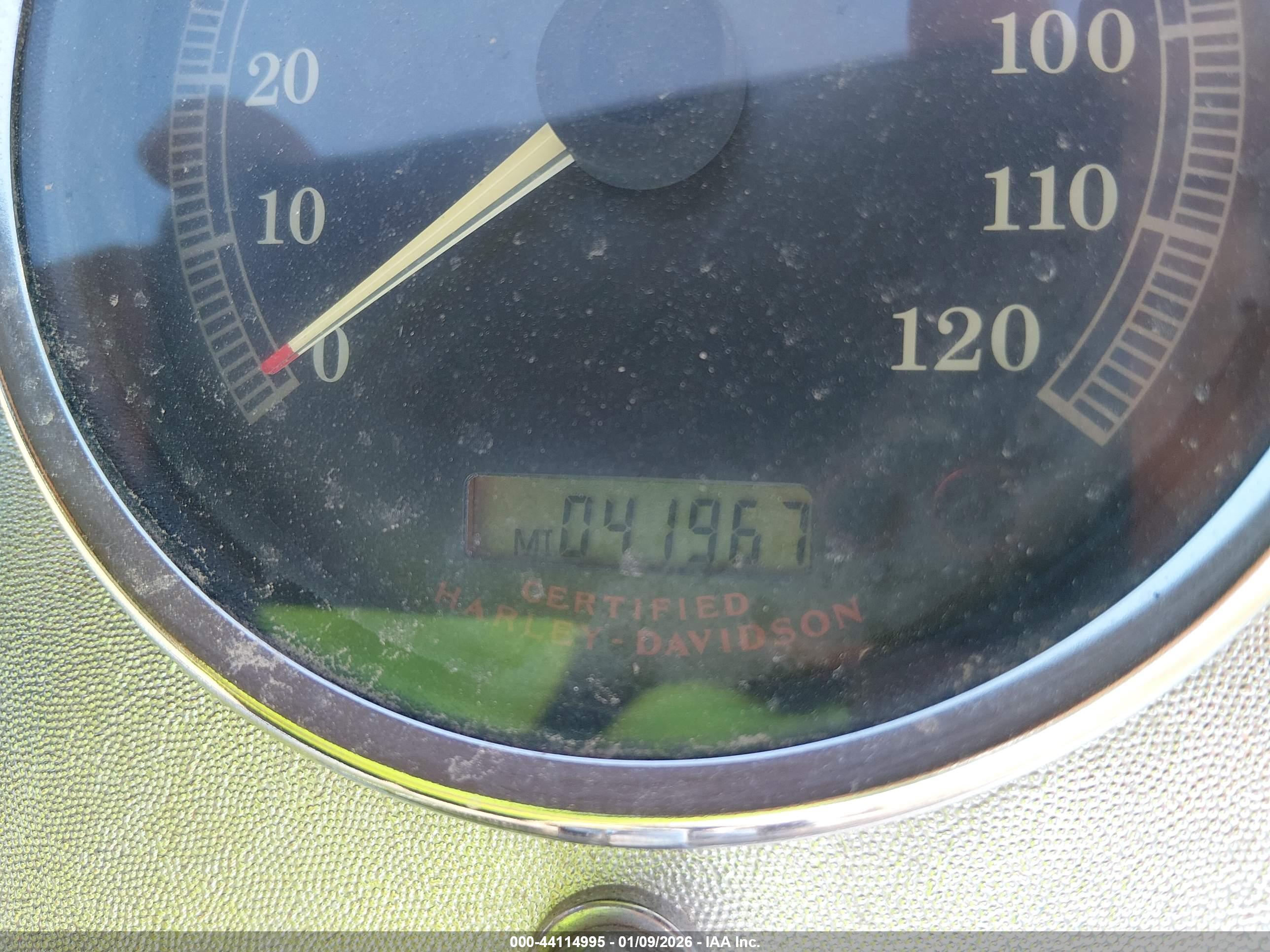 HARLEY-DAVIDSON FLSTF image 7