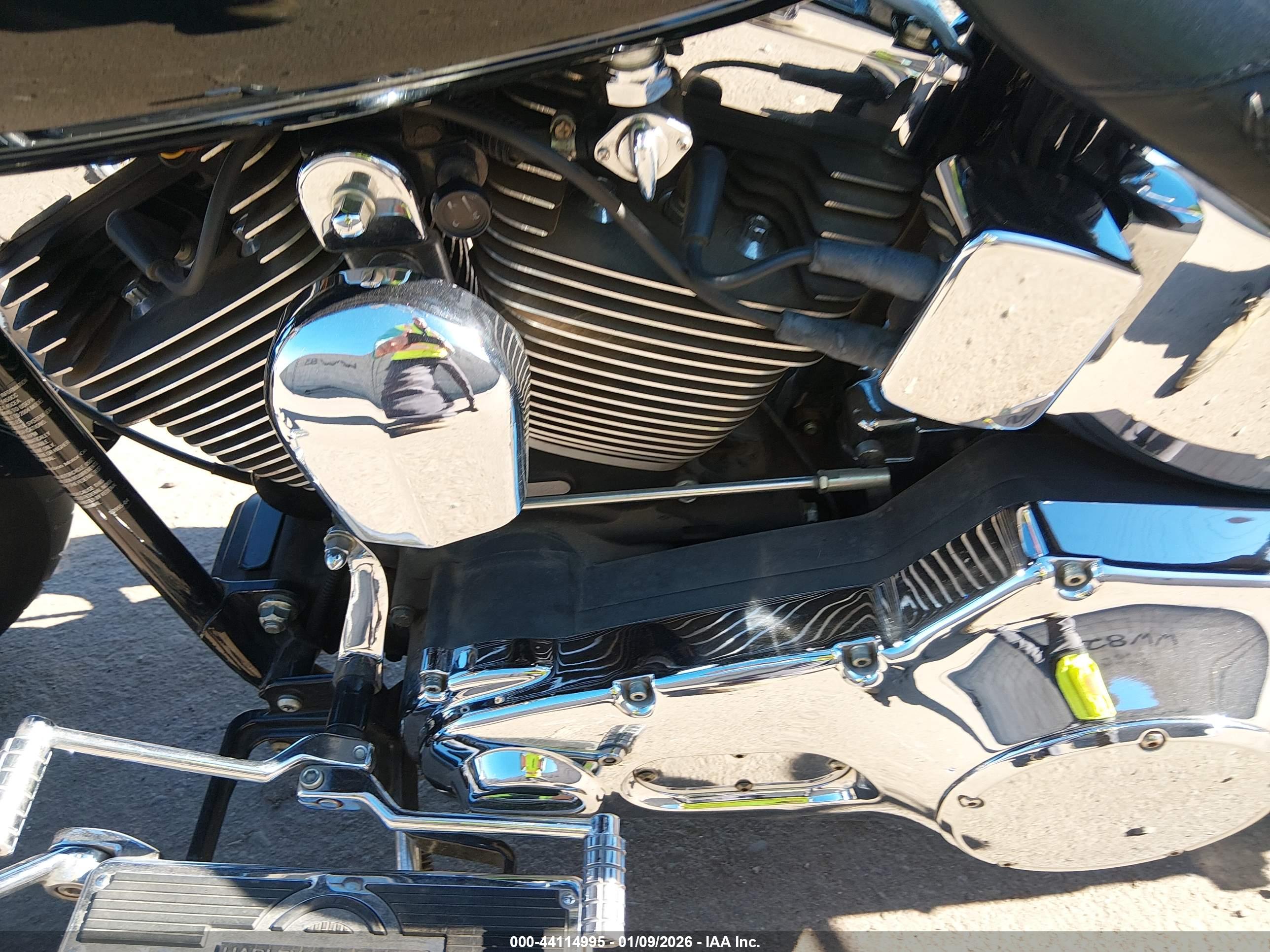 HARLEY-DAVIDSON FLSTF image 9