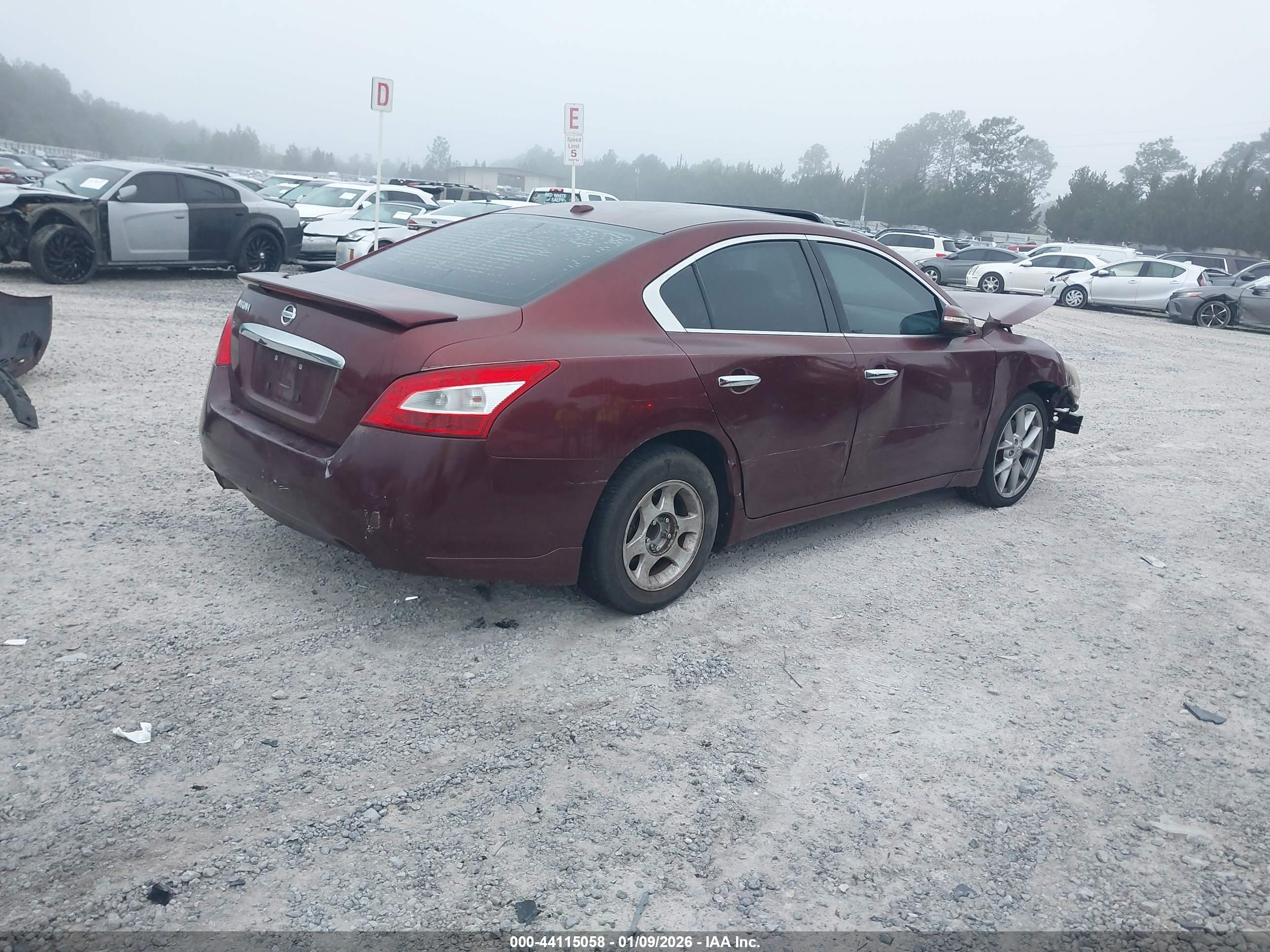 NISSAN MAXIMA image 4