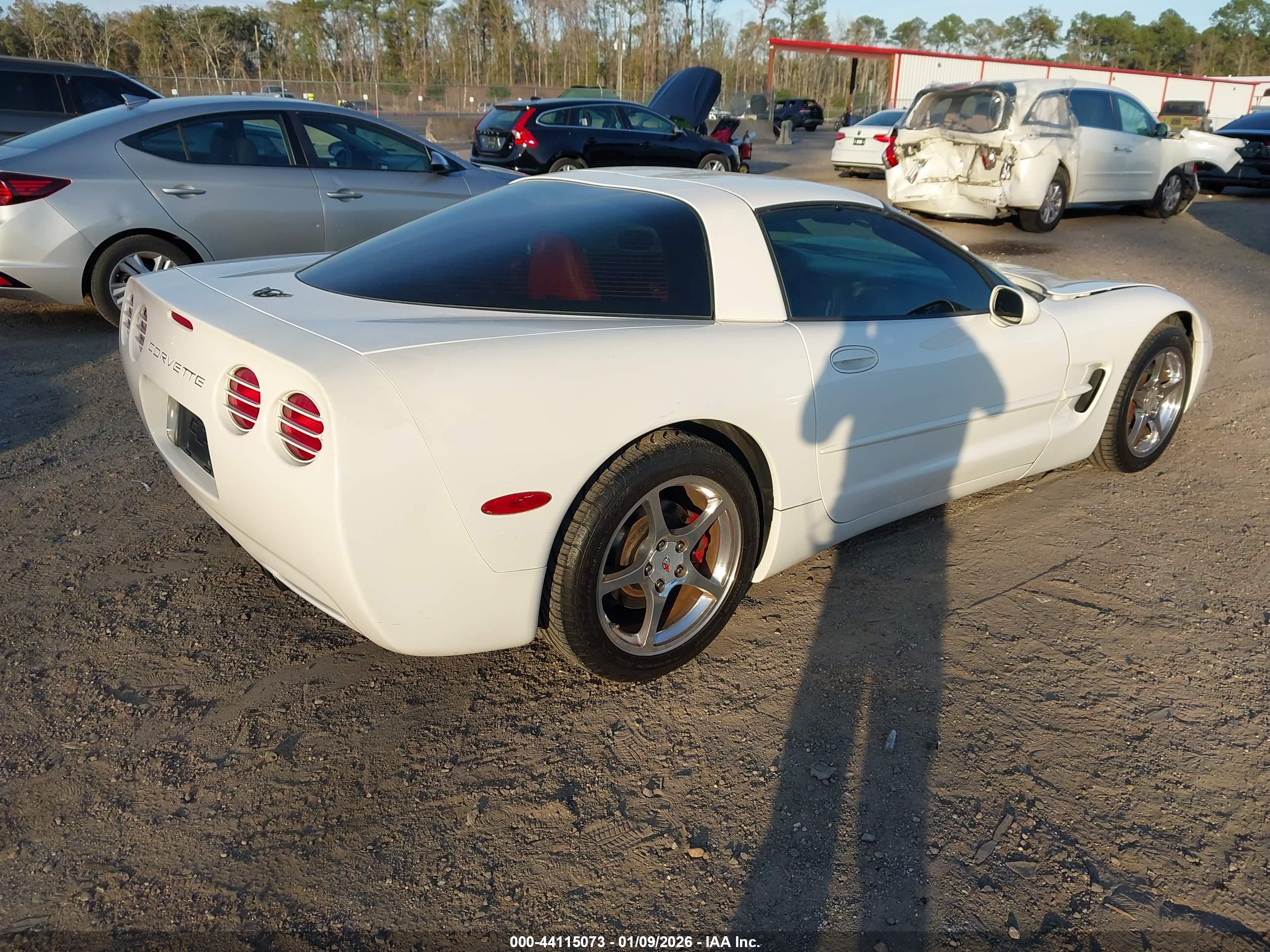 CHEVROLET CORVETTE image 4