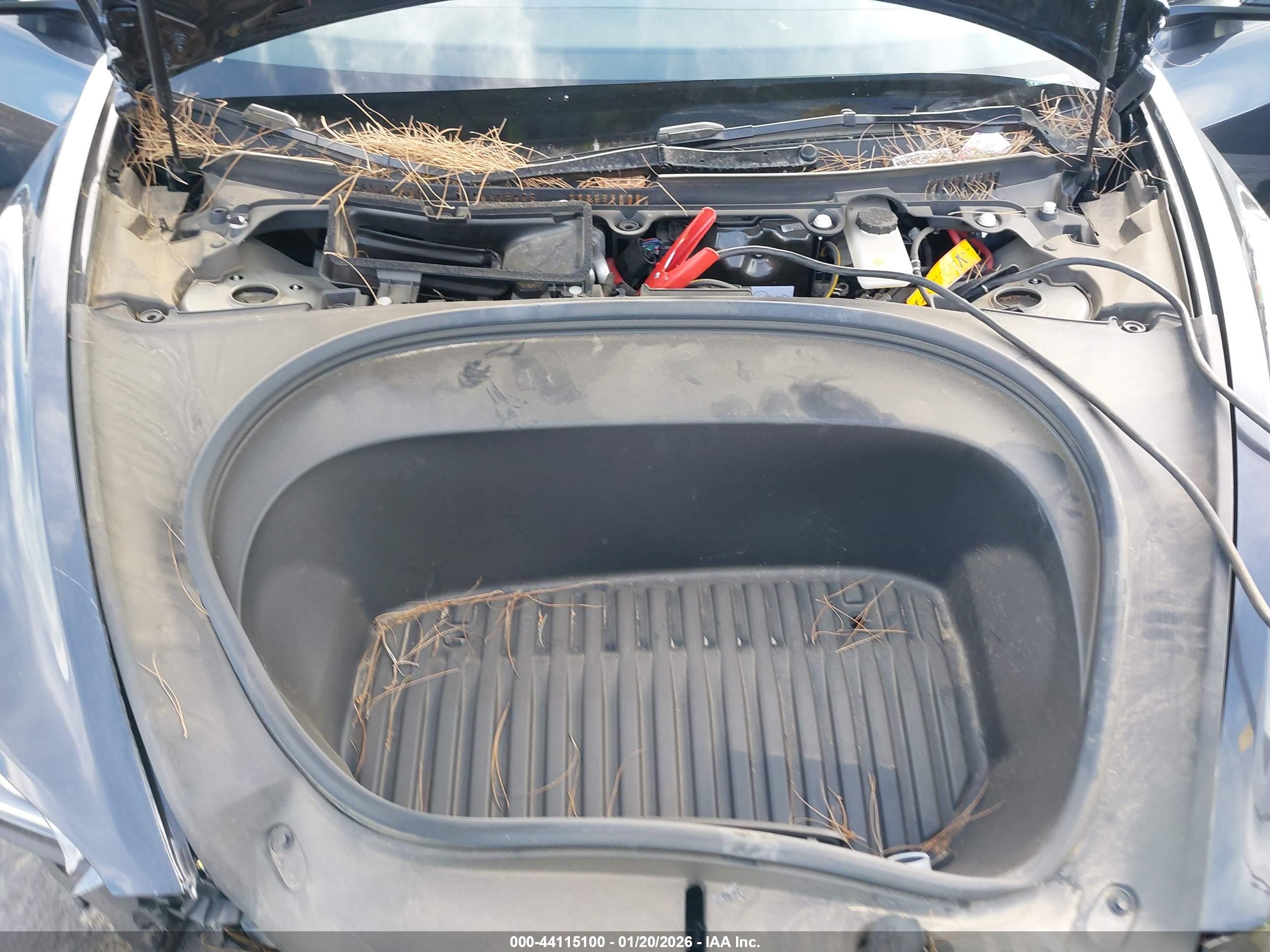 TESLA MODEL image 10