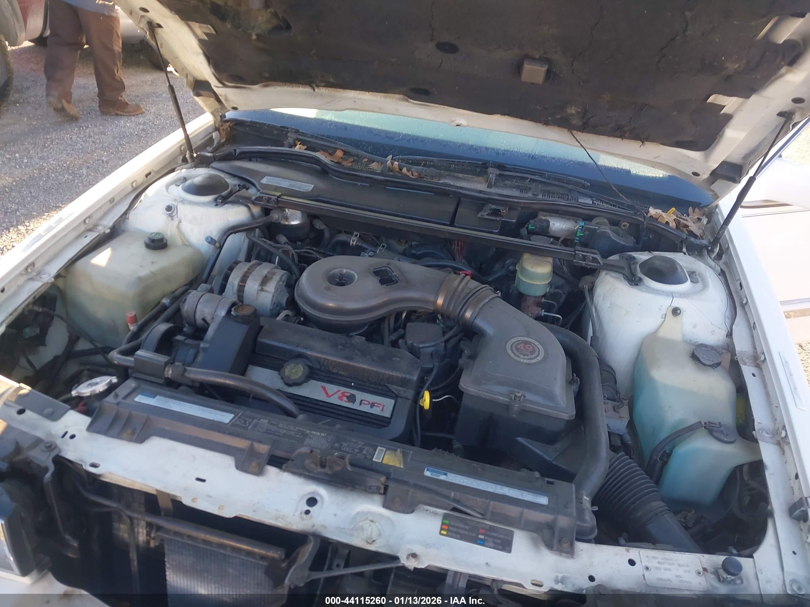 CADILLAC DEVILLE image 10
