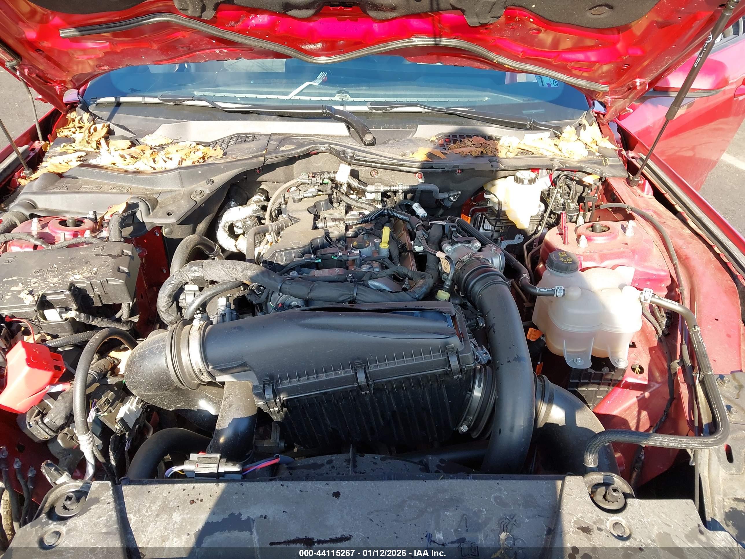 FORD MUSTANG image 10