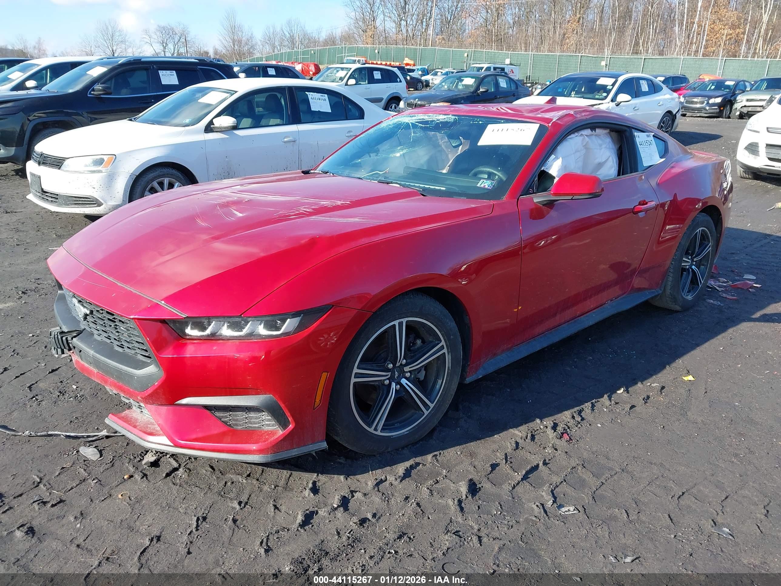 FORD MUSTANG image 2