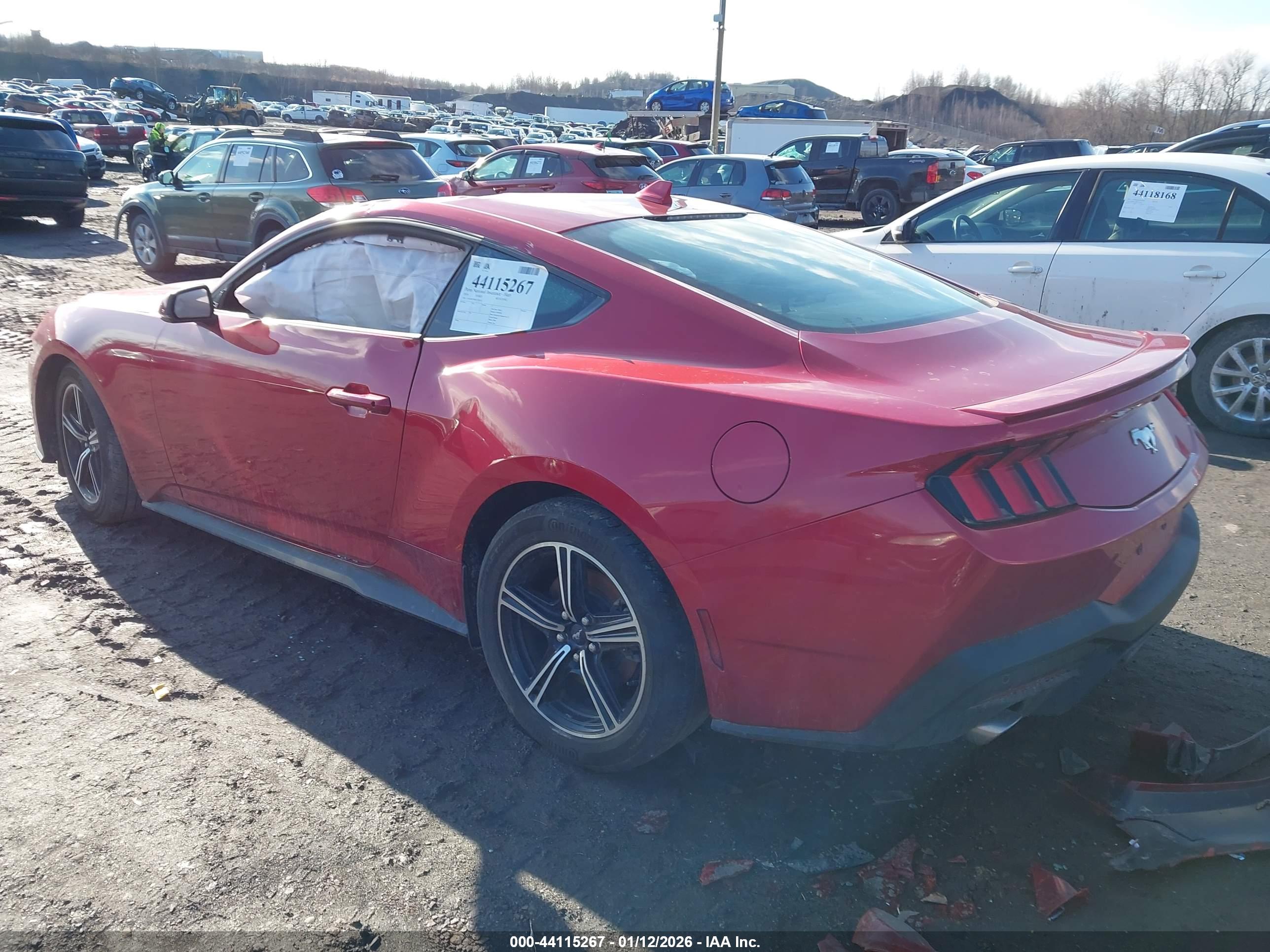 FORD MUSTANG image 3
