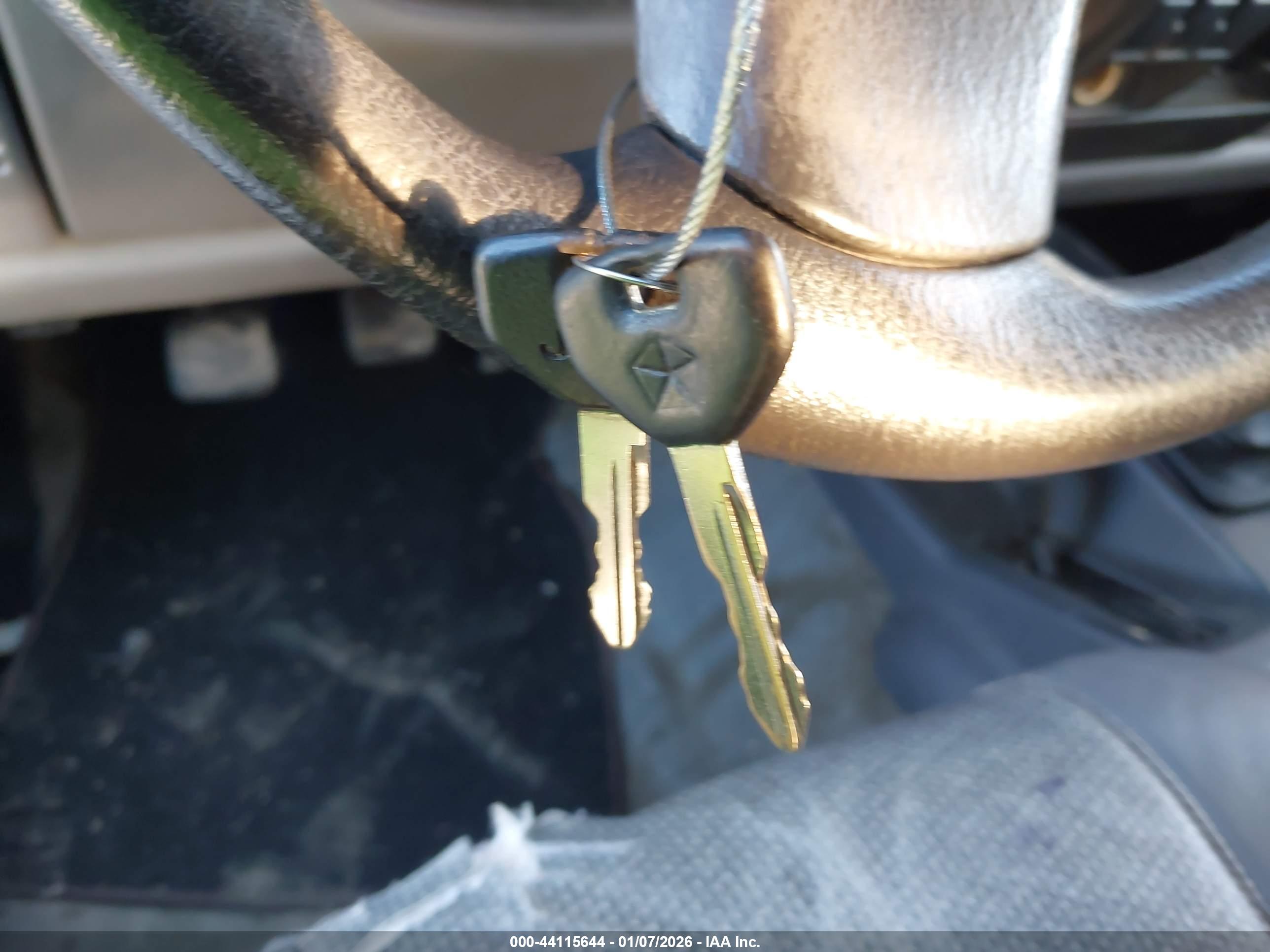 JEEP WRANGLER image 11