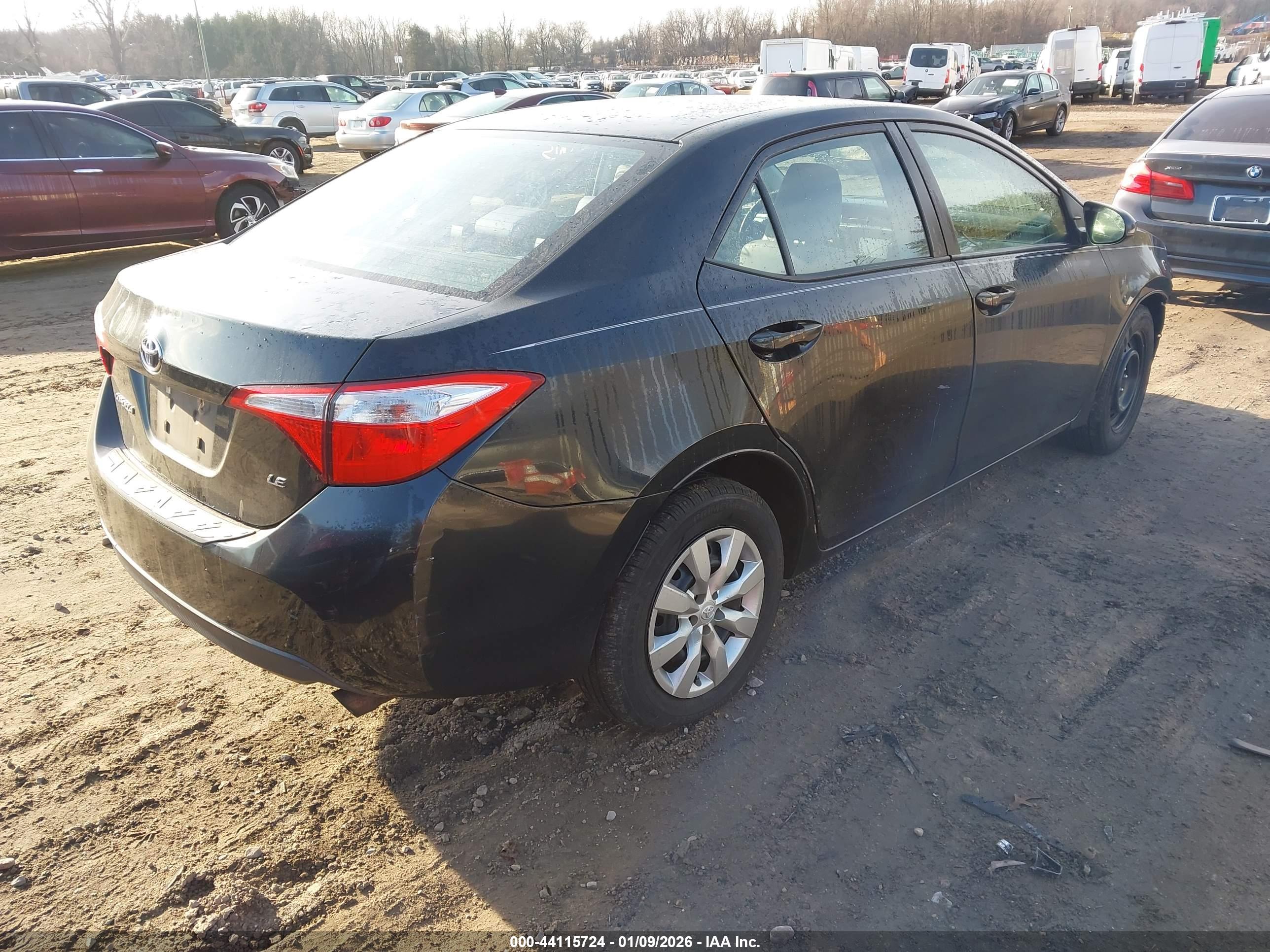 TOYOTA COROLLA image 4
