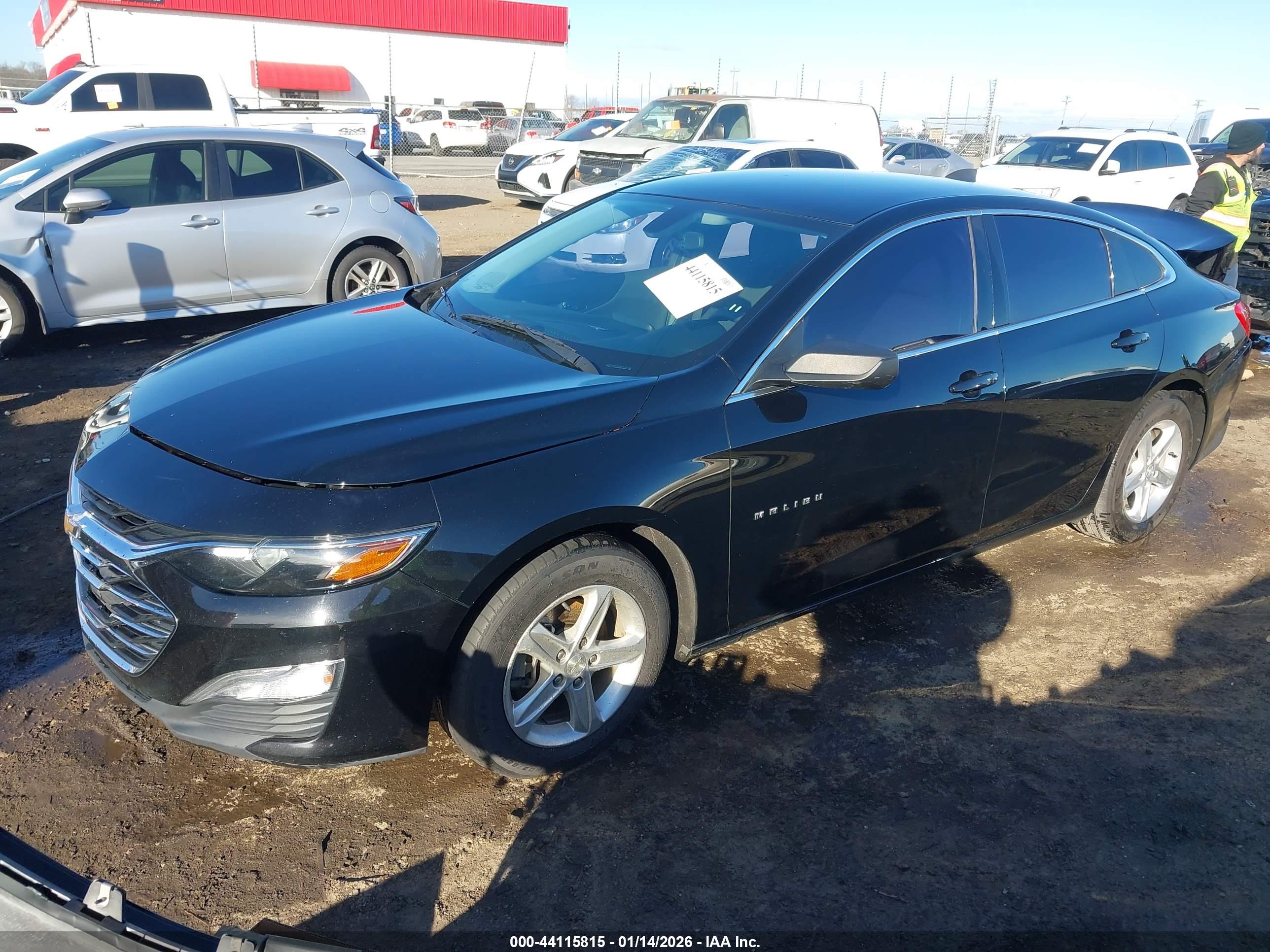 CHEVROLET MALIBU image 2