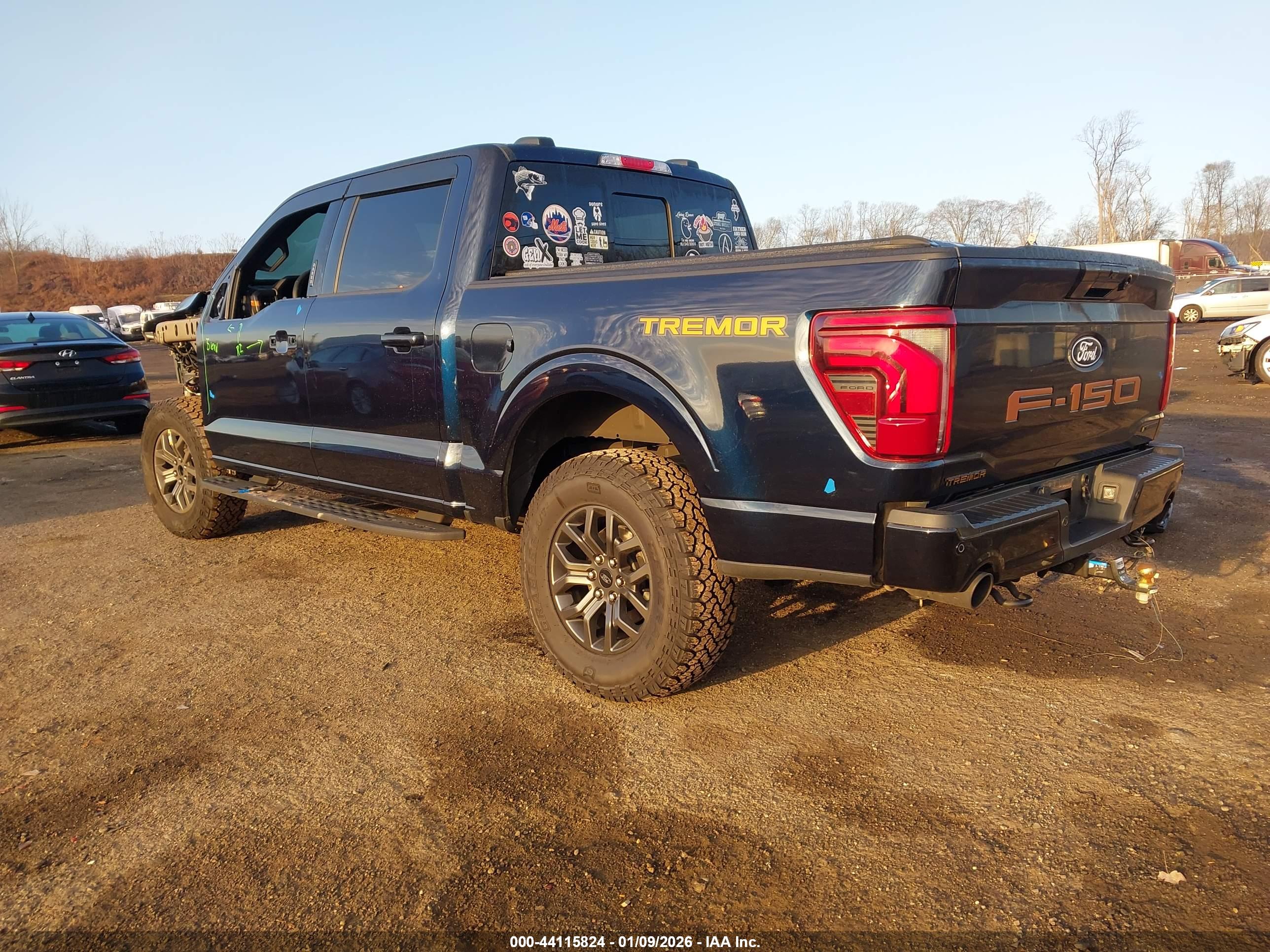 FORD F-150 image 3
