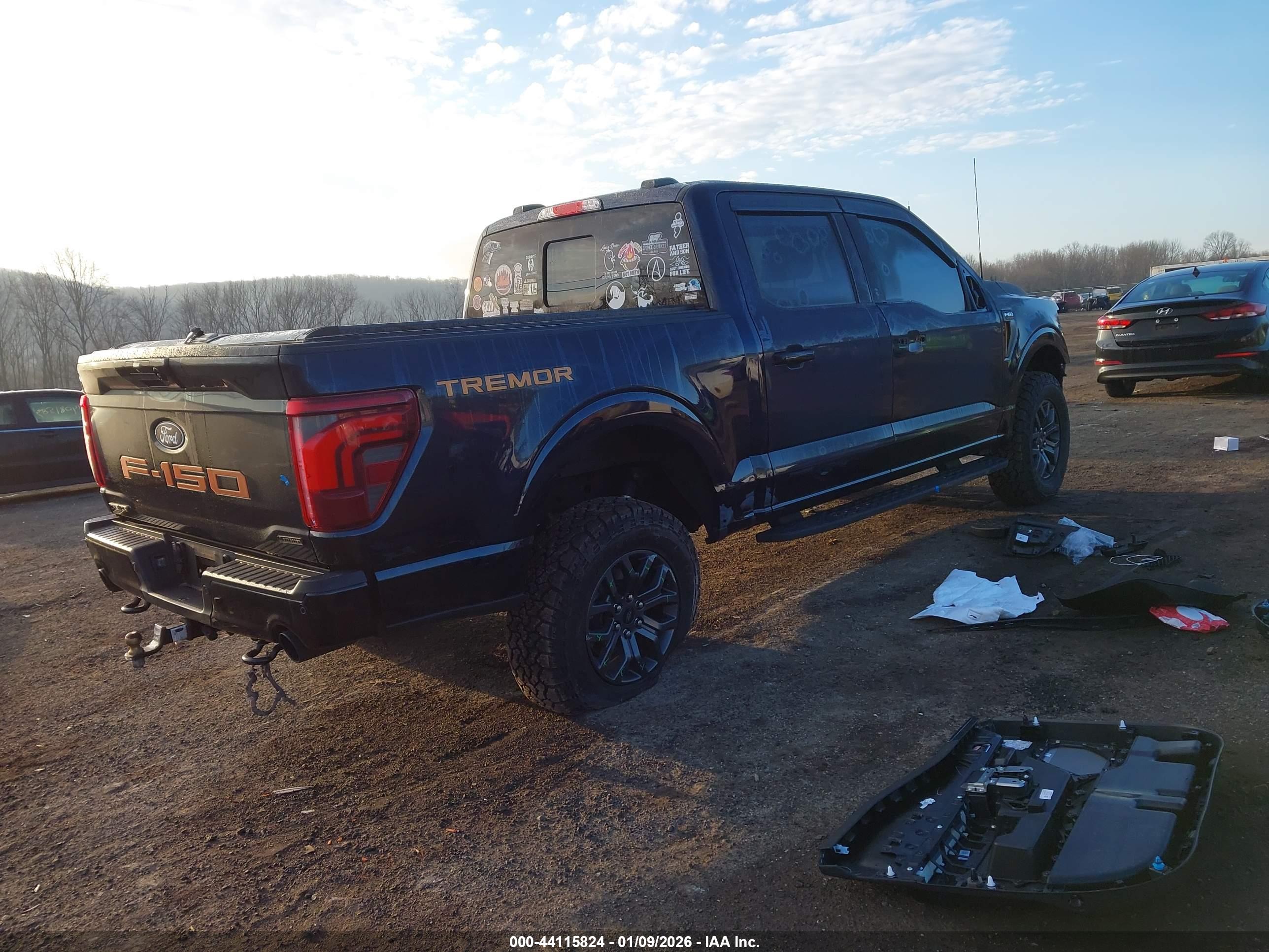 FORD F-150 image 4
