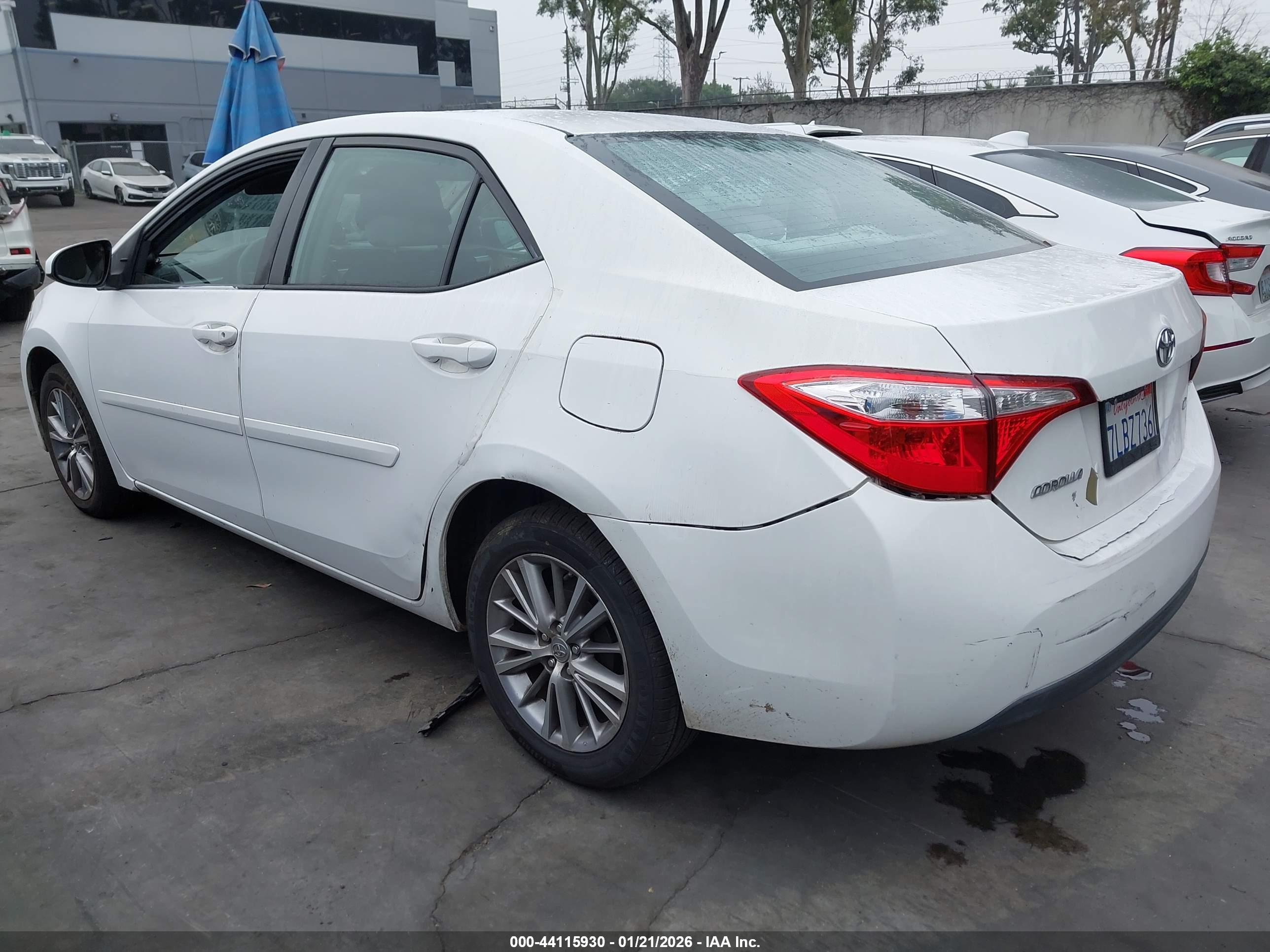 TOYOTA COROLLA image 3