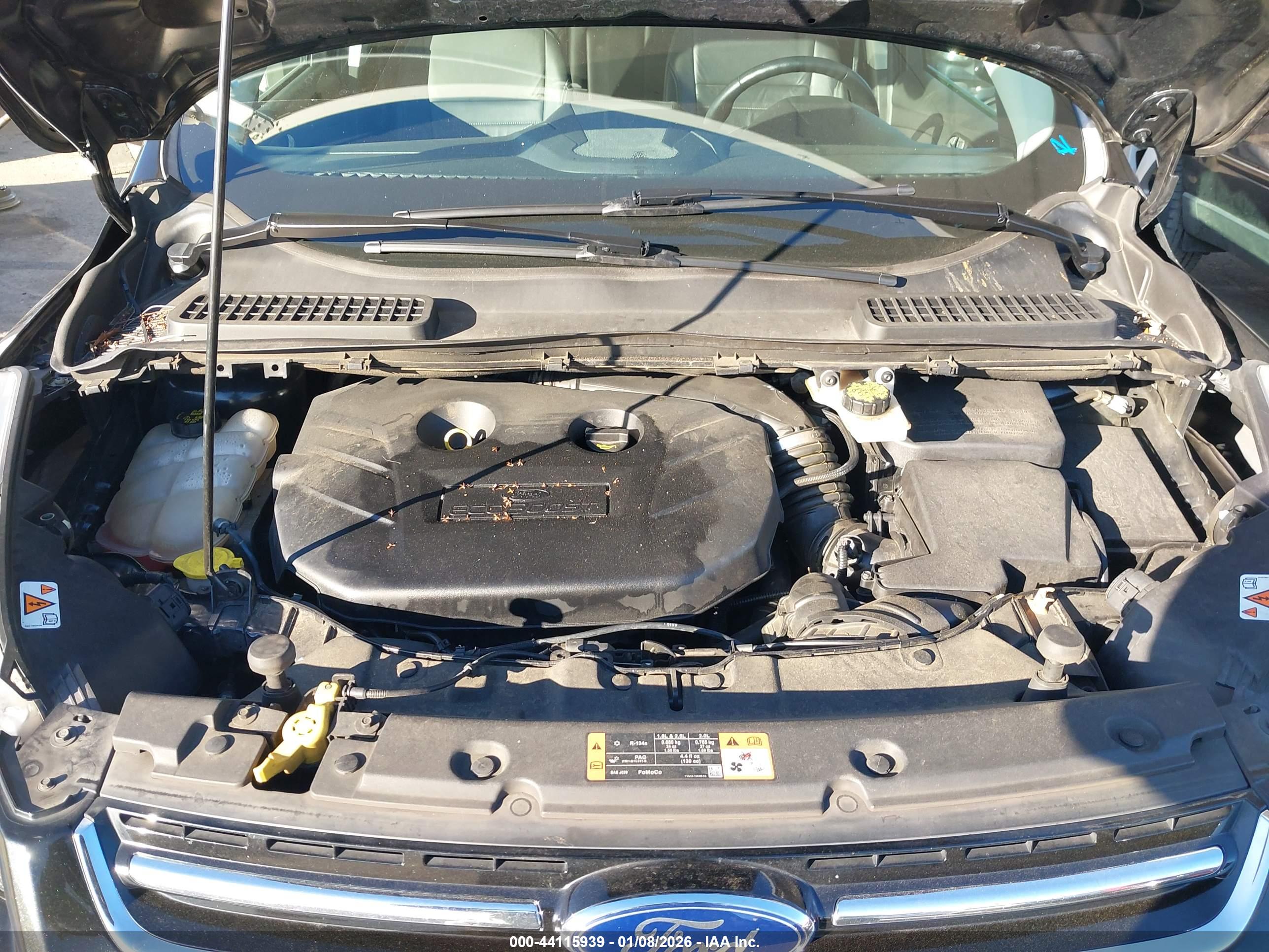 FORD ESCAPE image 10