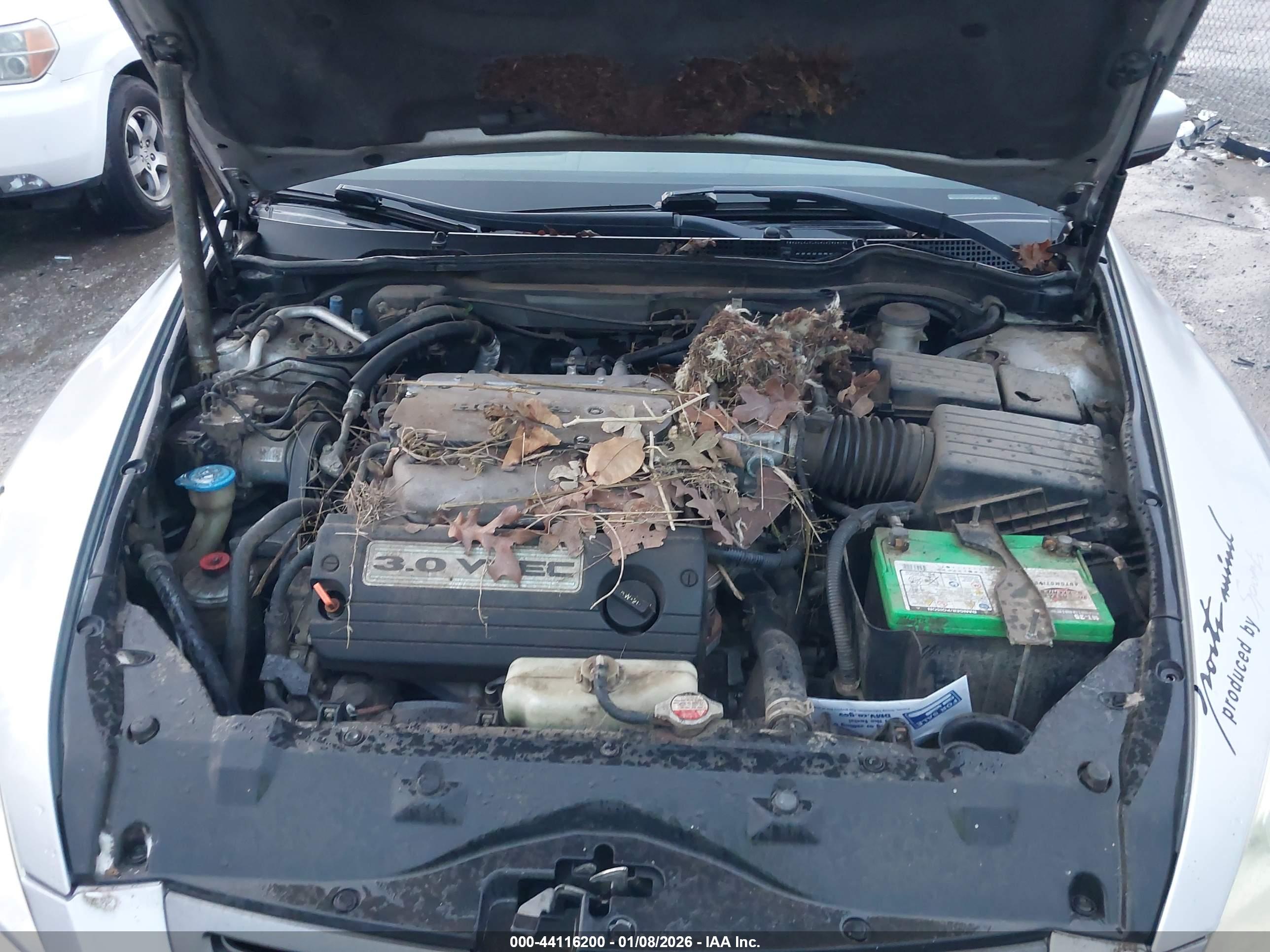 HONDA ACCORD image 10