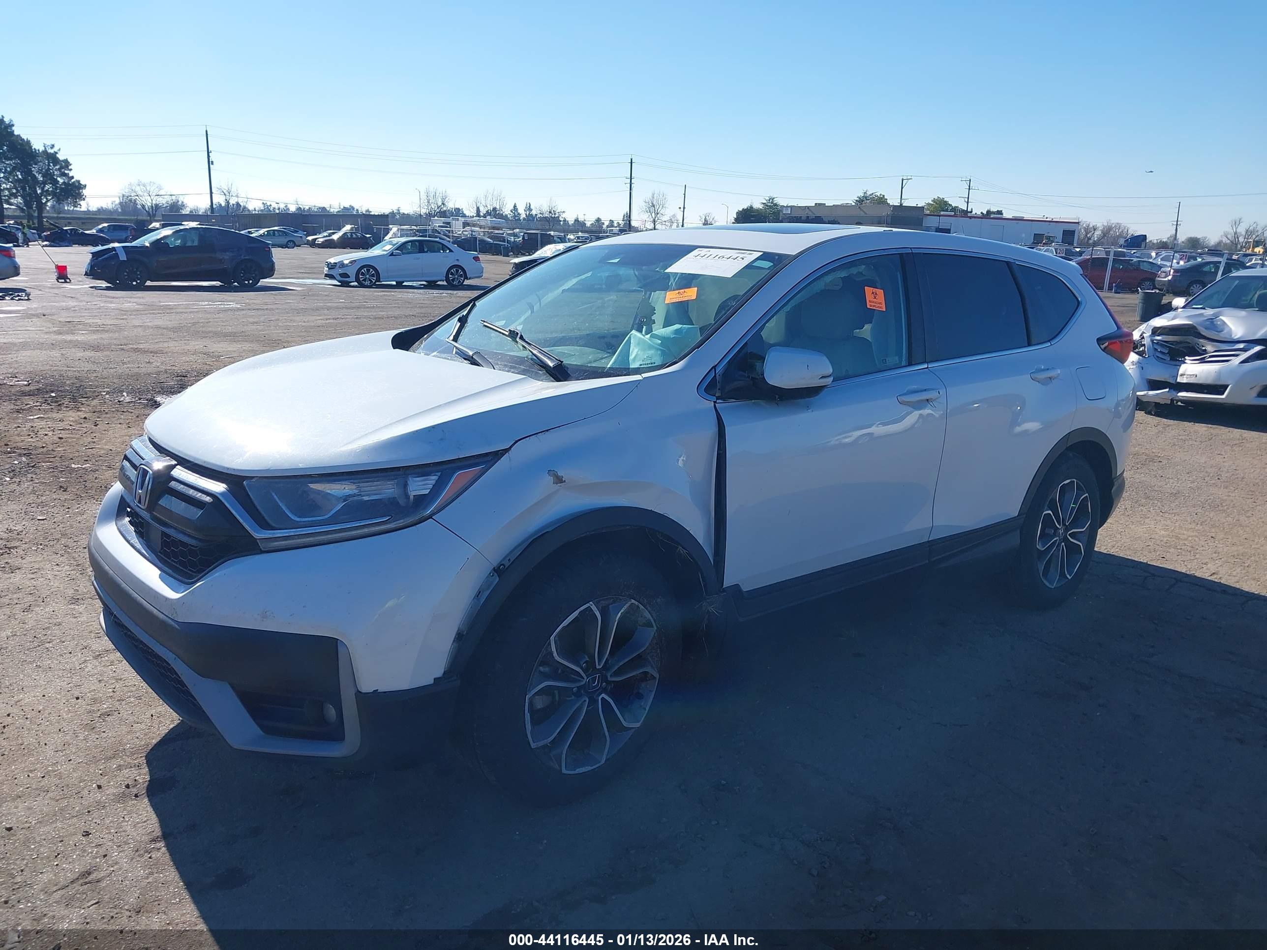HONDA CR-V image 6
