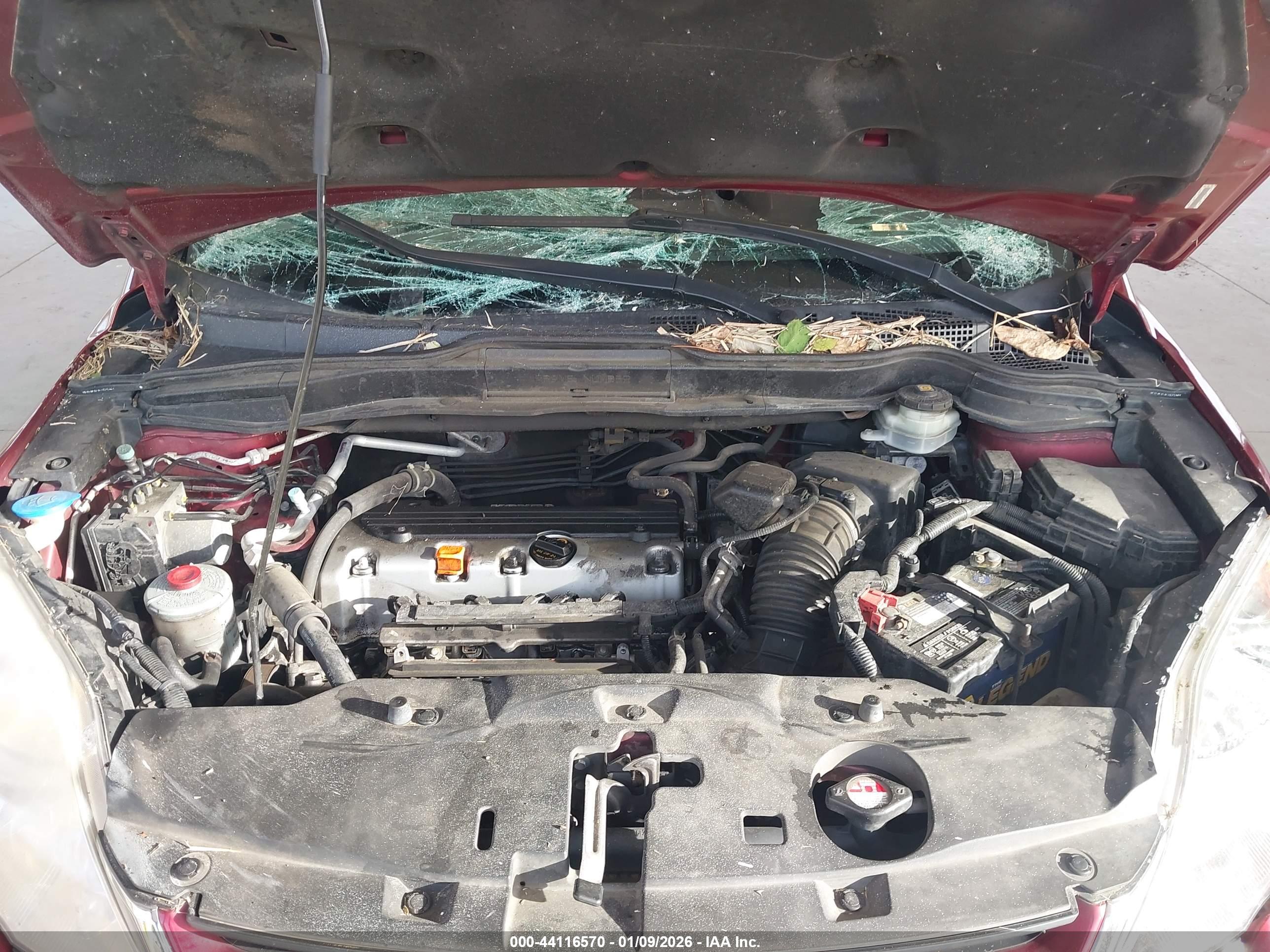 HONDA CR-V image 10