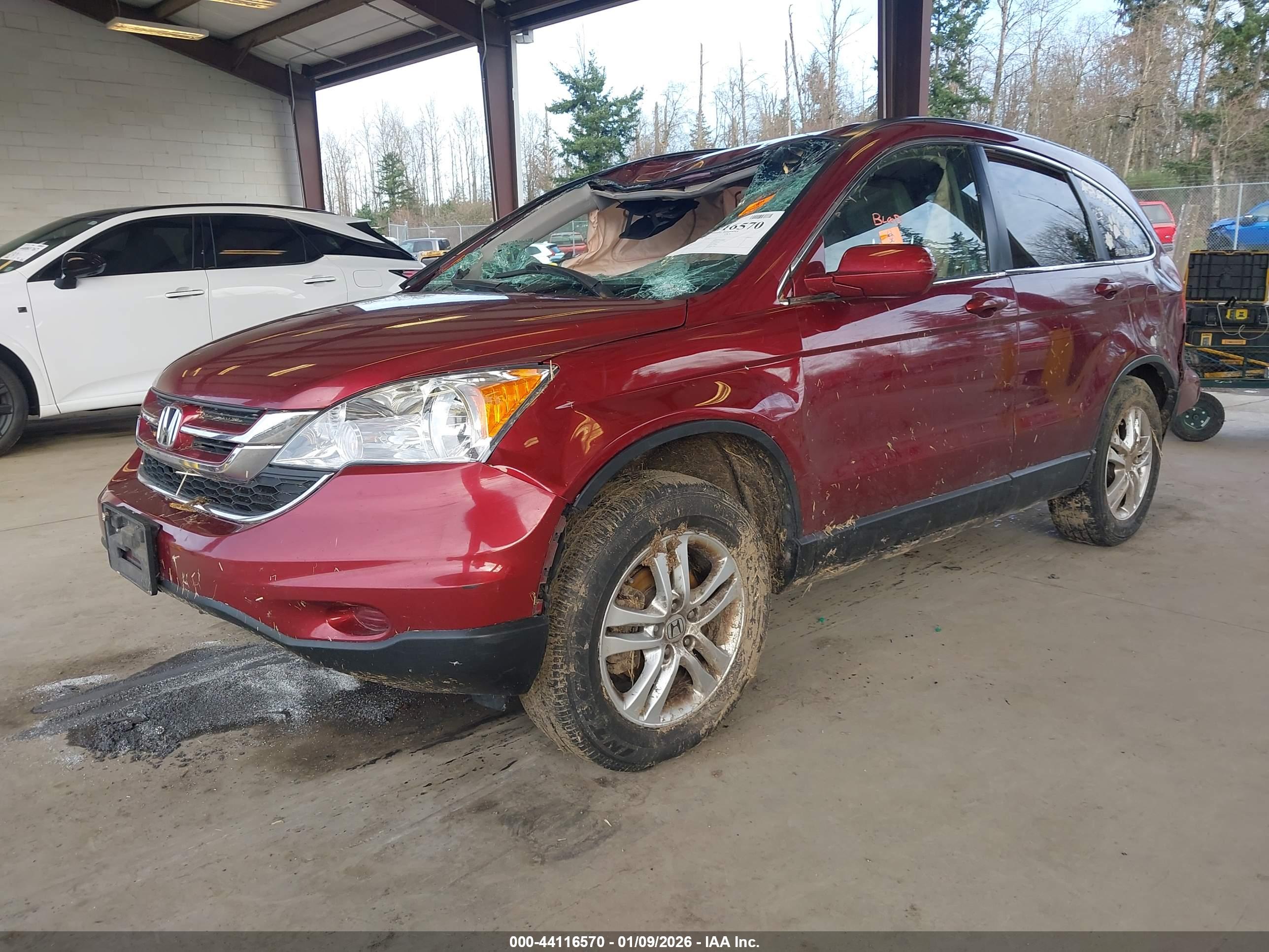 HONDA CR-V image 2