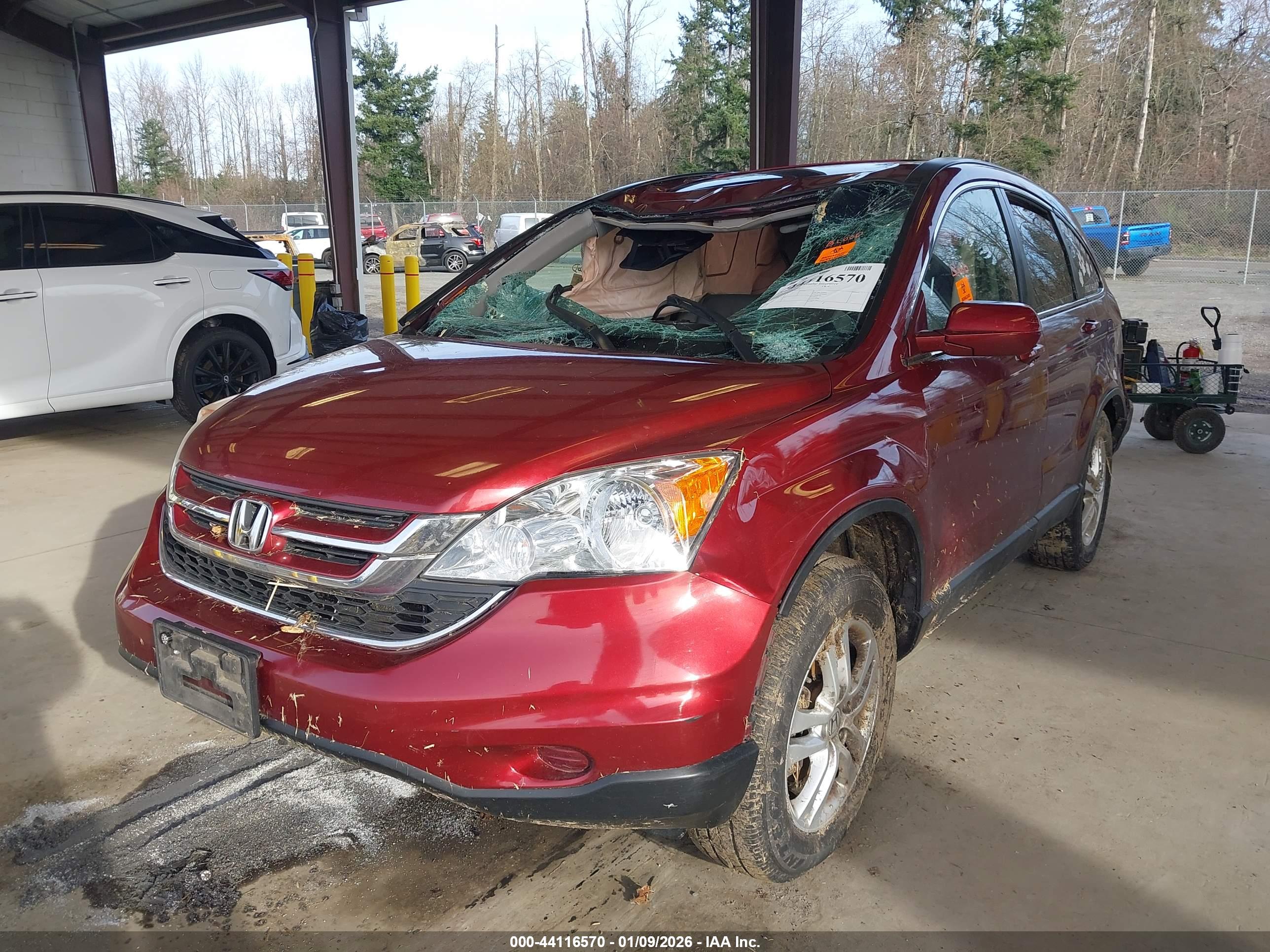 HONDA CR-V image 6