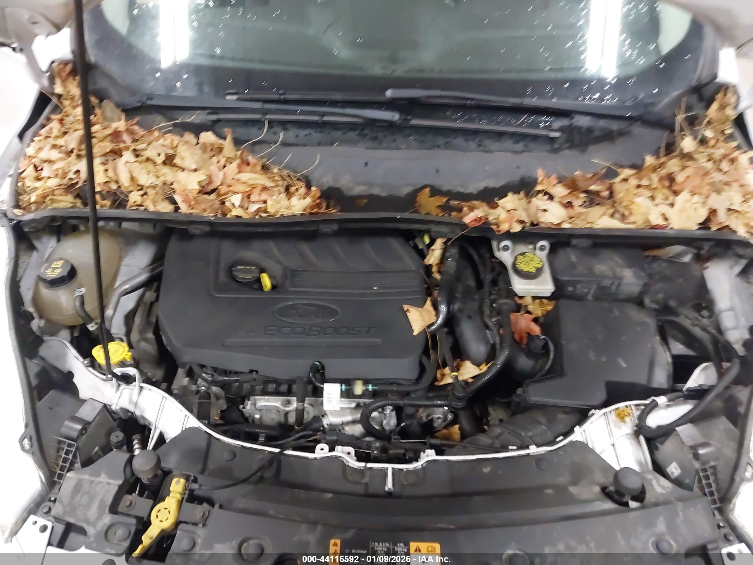 FORD ESCAPE image 10