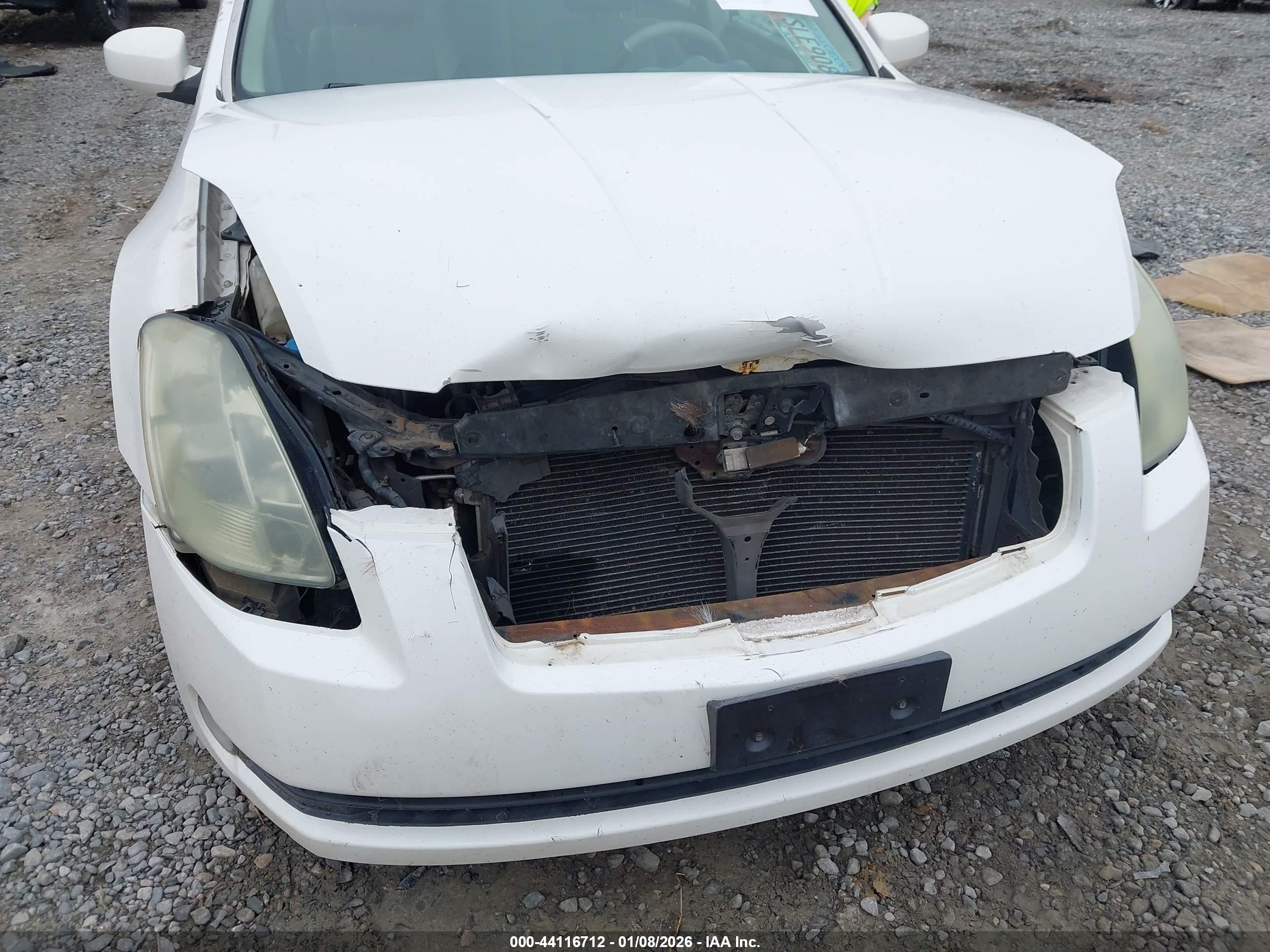 NISSAN MAXIMA image 6