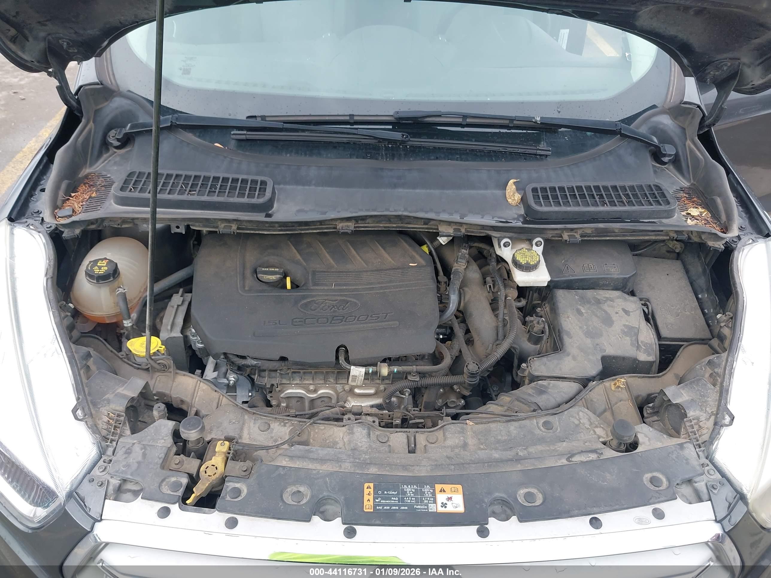 FORD ESCAPE image 10