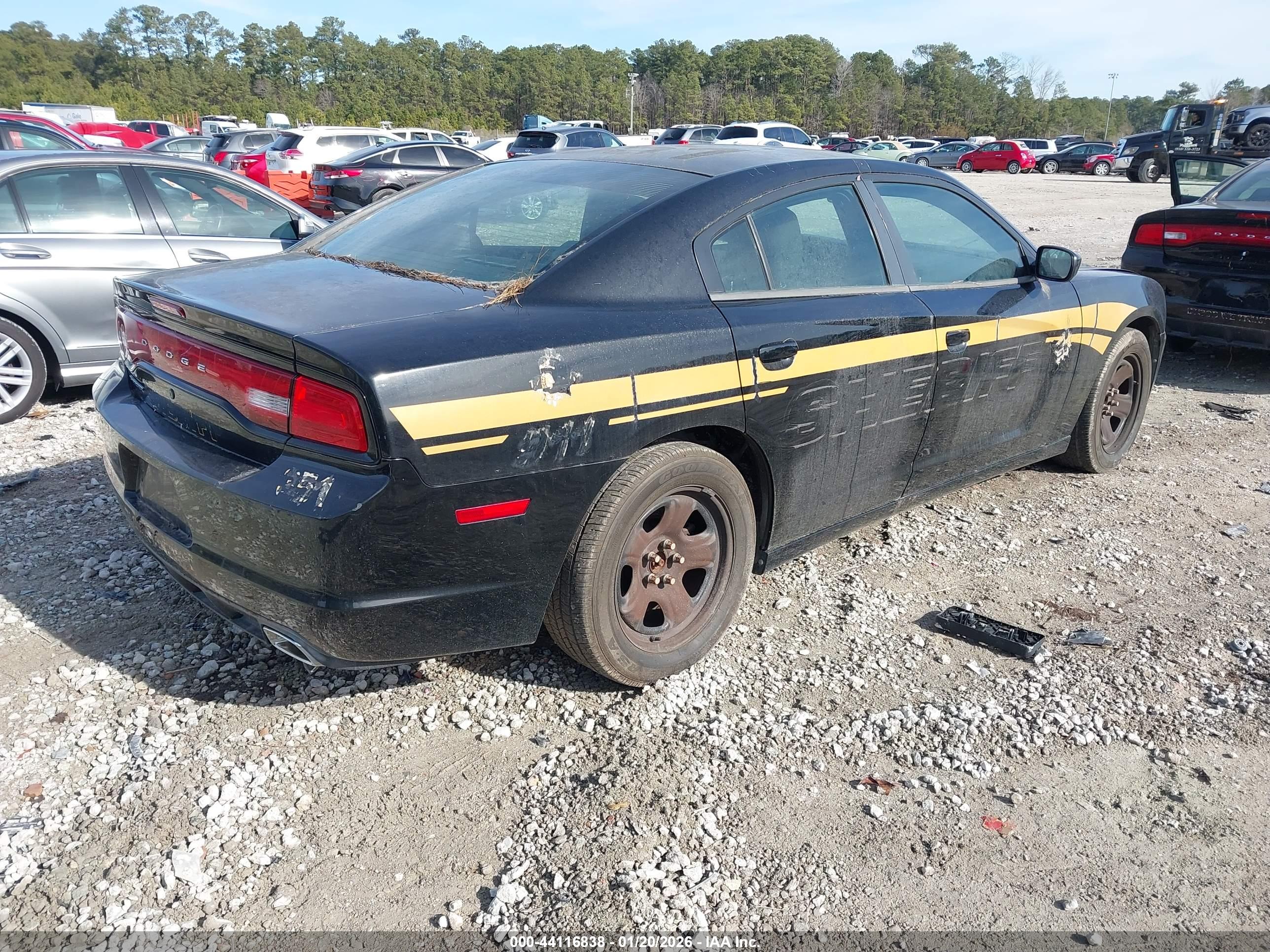 DODGE CHARGER image 4