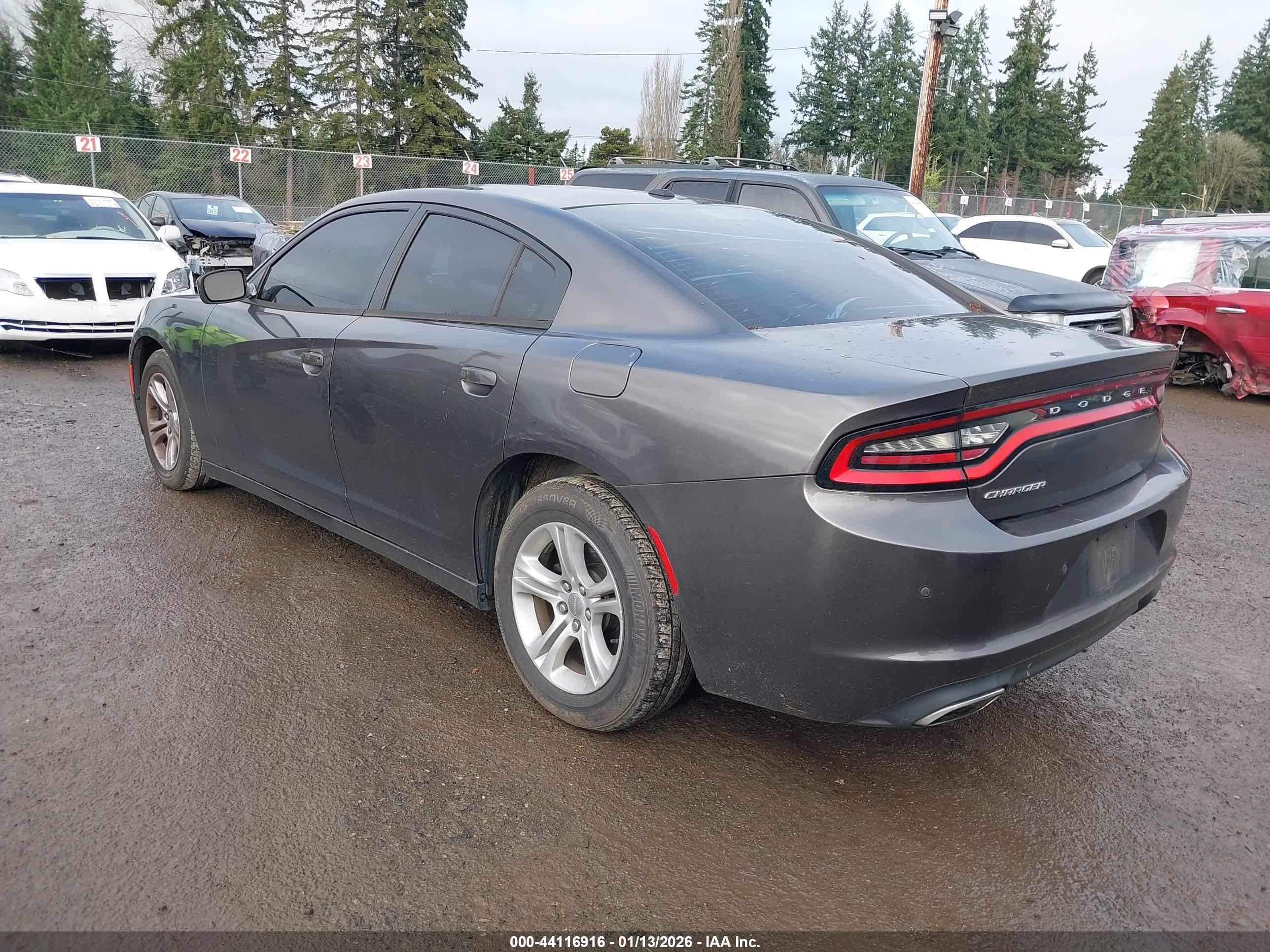 DODGE CHARGER image 3