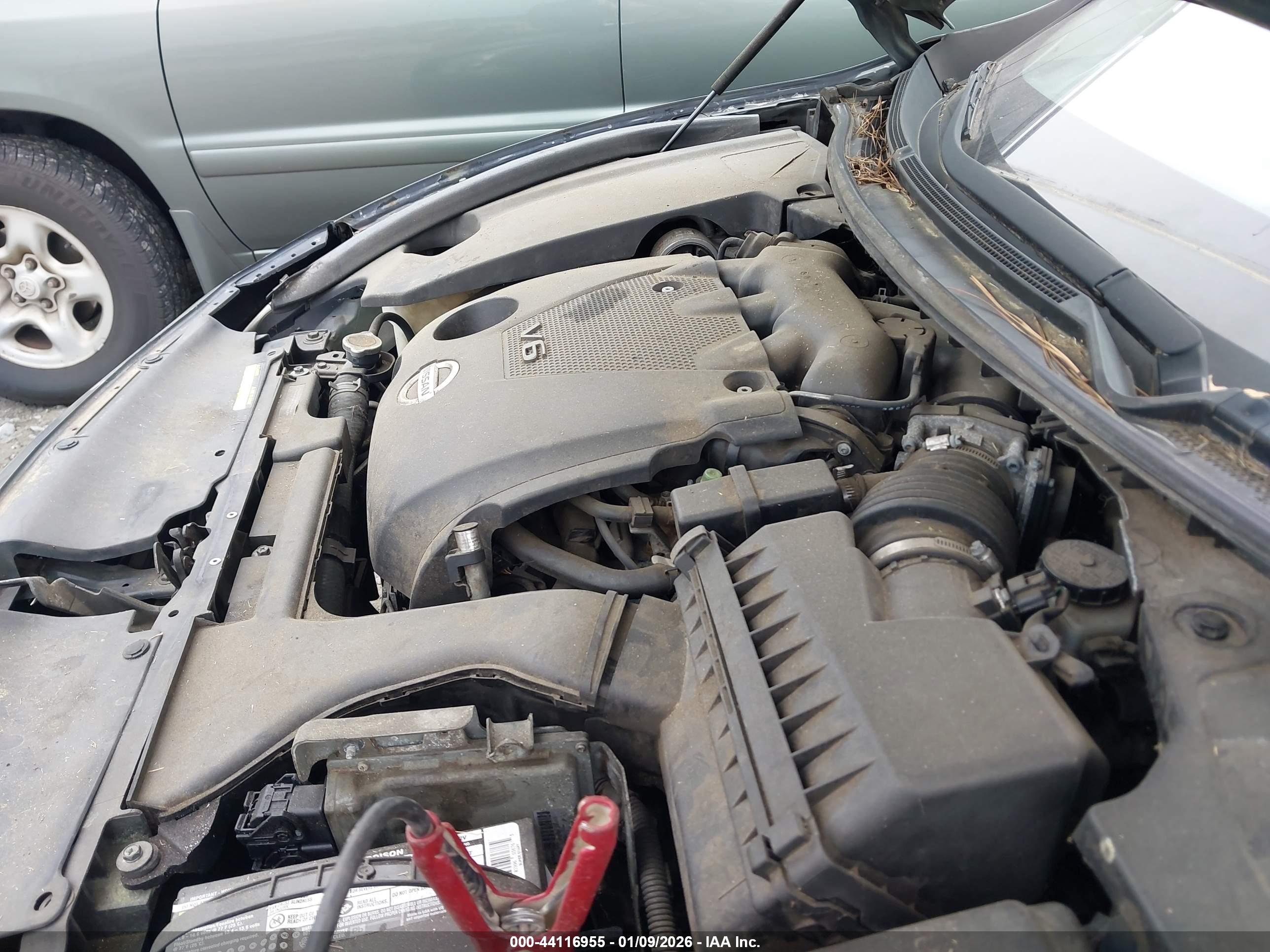 NISSAN MAXIMA image 10