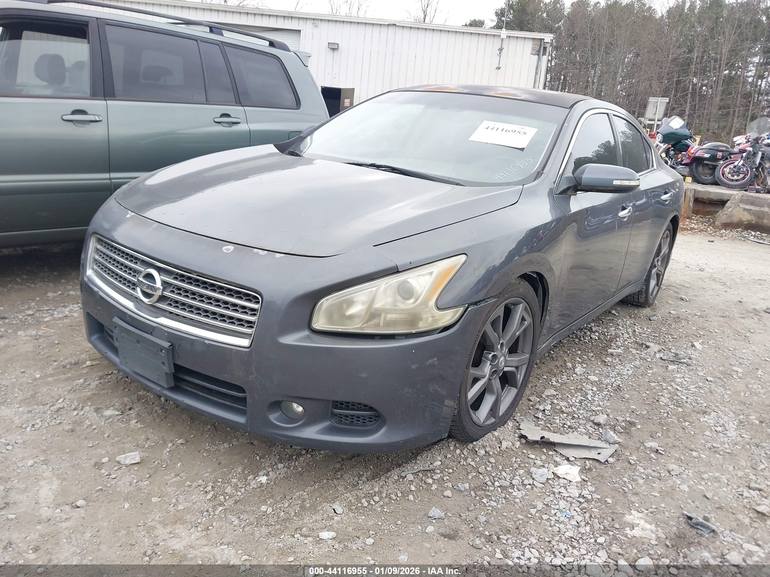NISSAN MAXIMA image 2