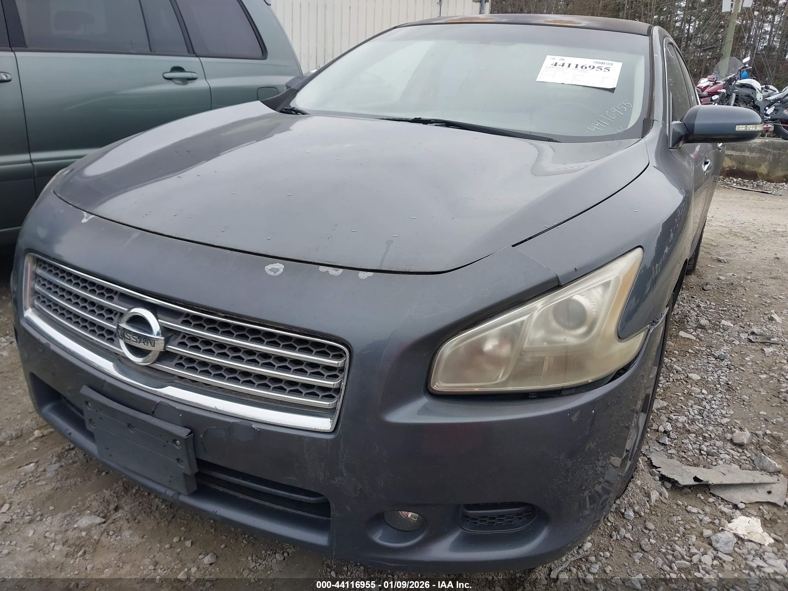 NISSAN MAXIMA image 6