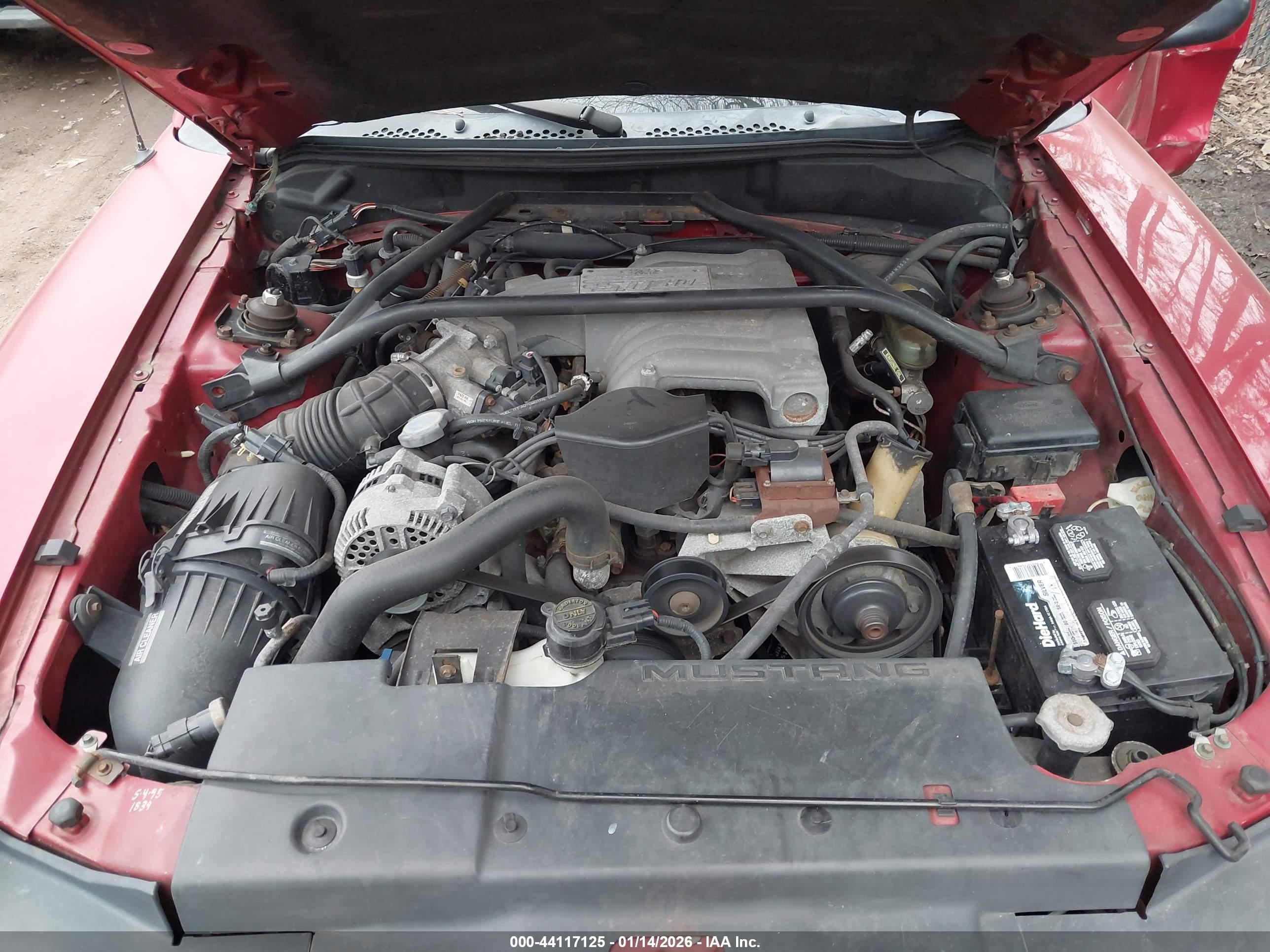 FORD MUSTANG image 10