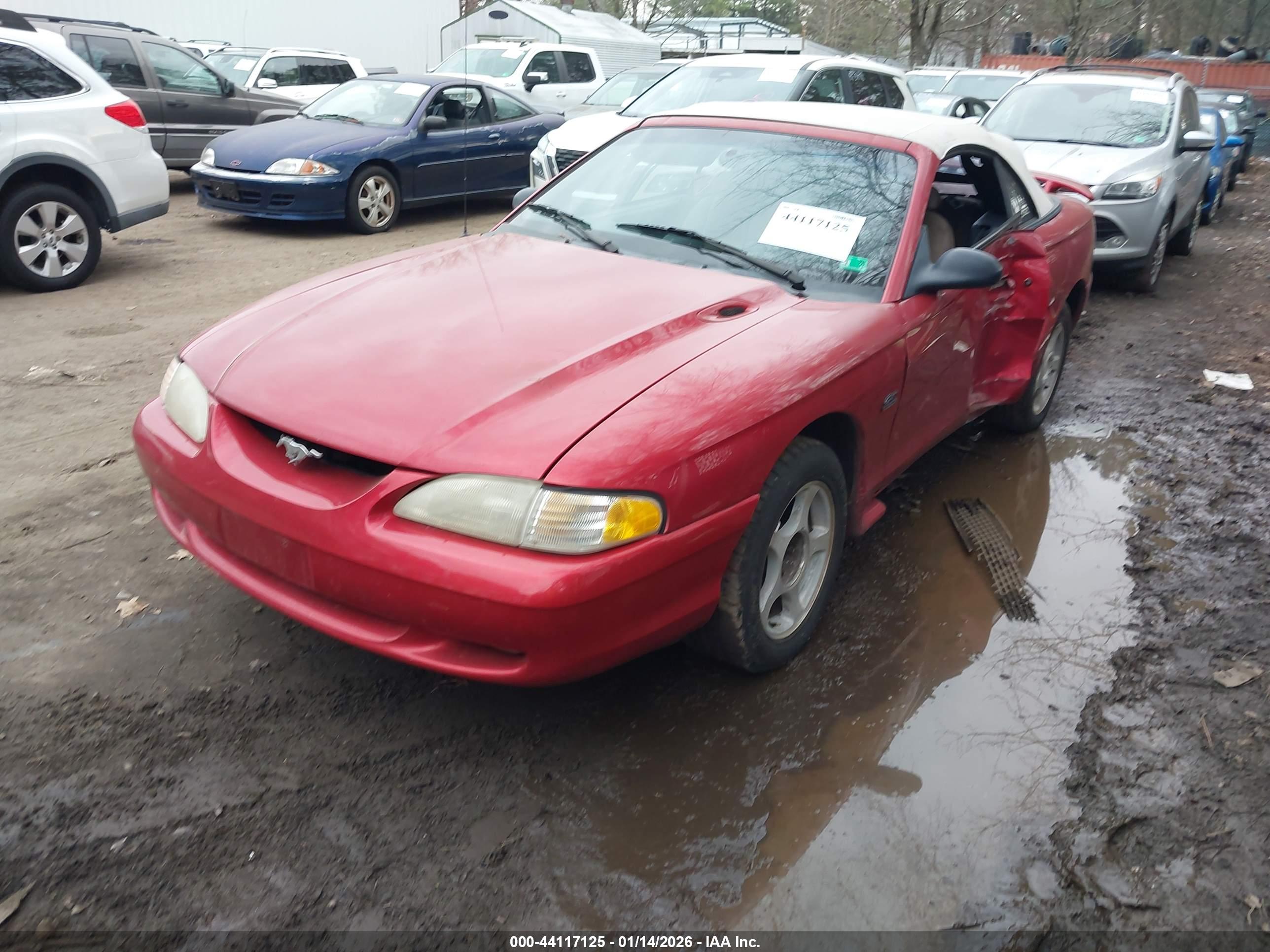 FORD MUSTANG image 2