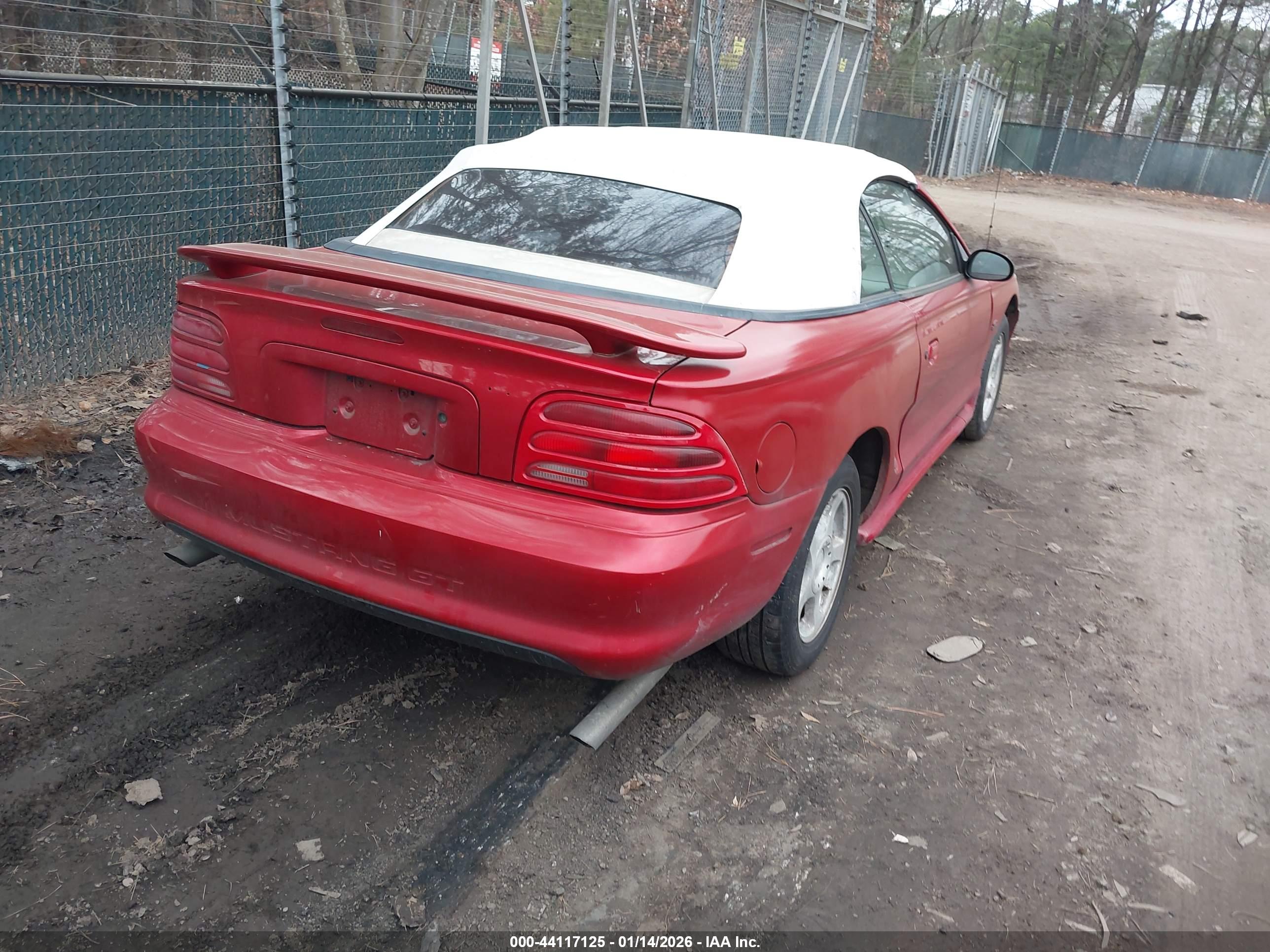 FORD MUSTANG image 4