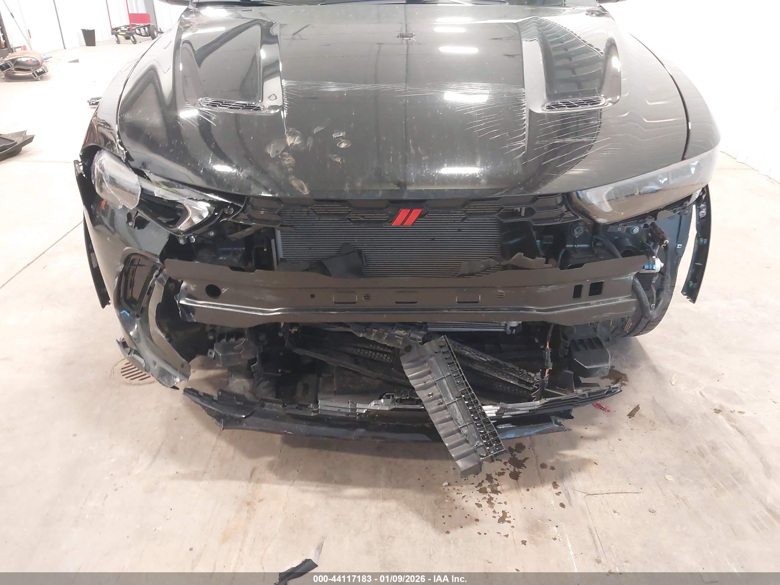 DODGE HORNET image 6