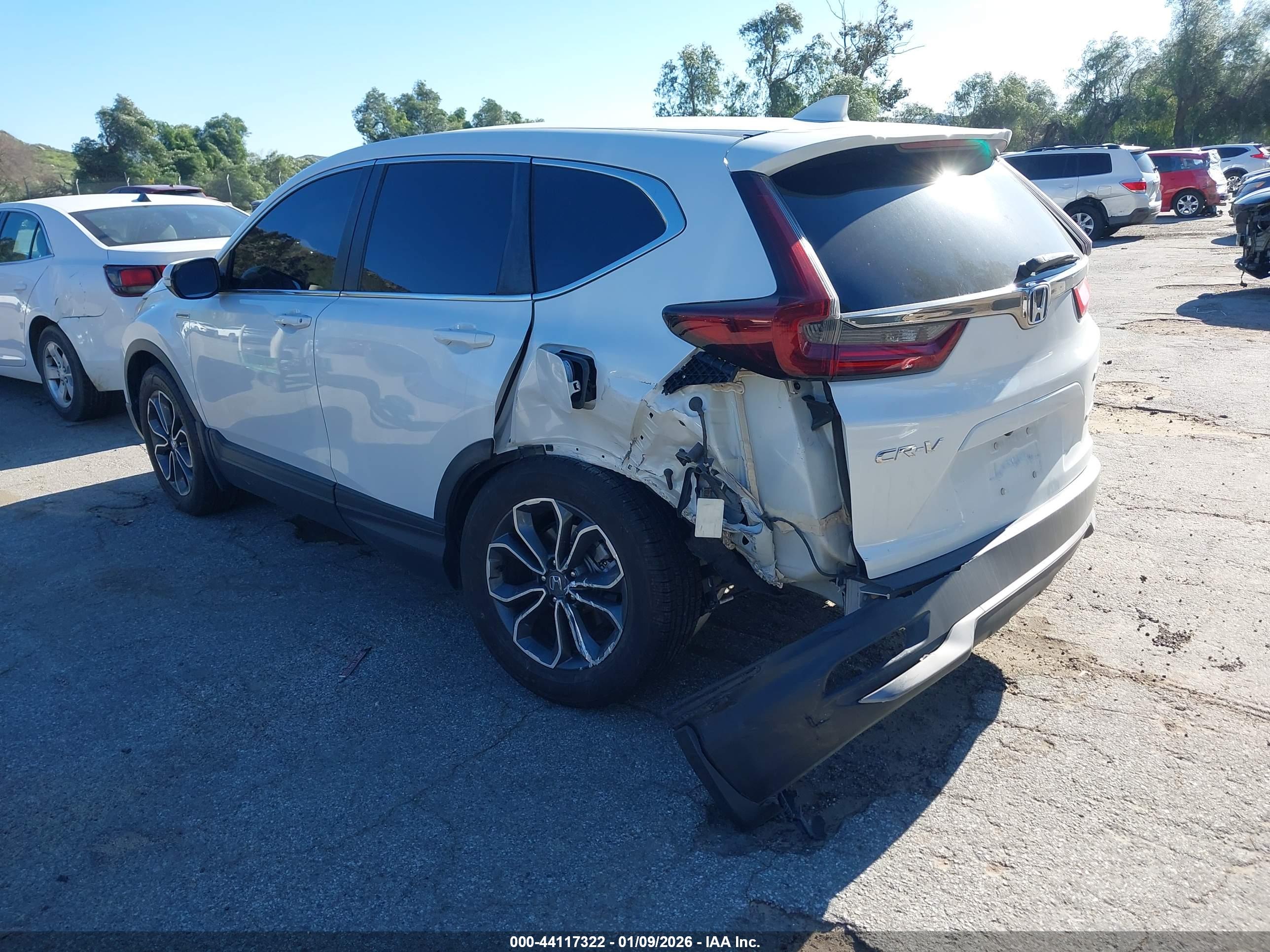 HONDA CR-V image 3