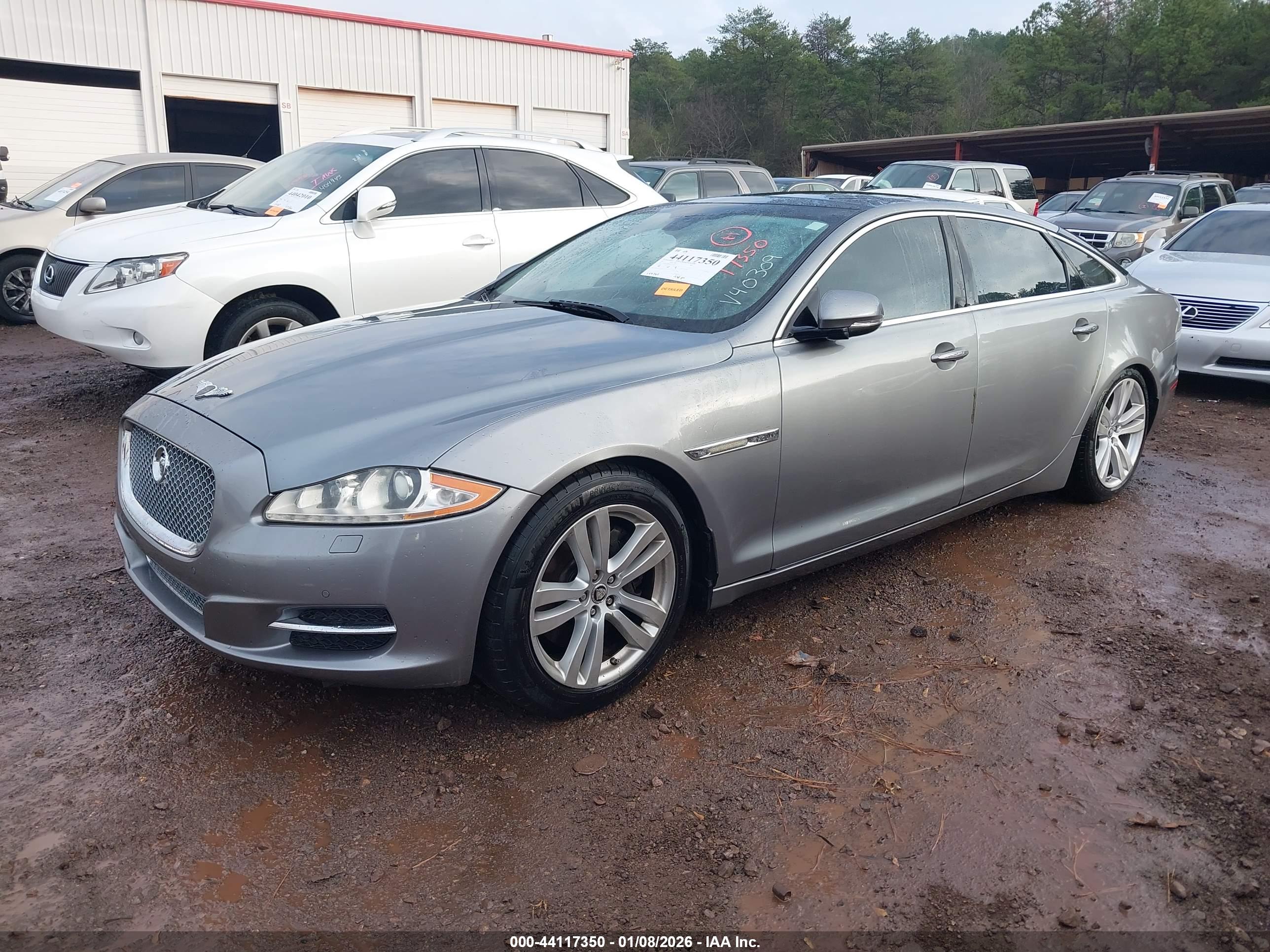 JAGUAR XJ image 2