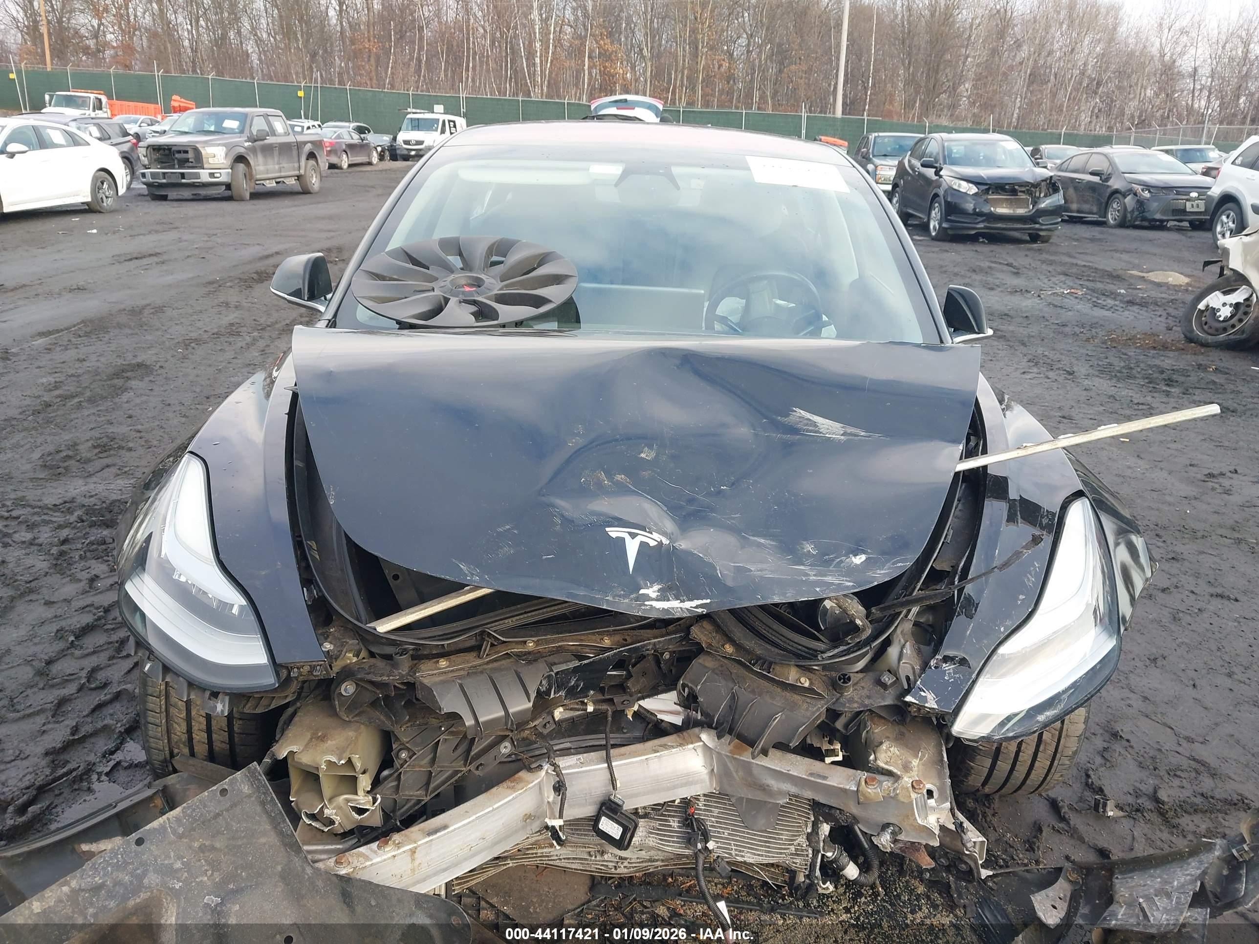 TESLA MODEL image 6