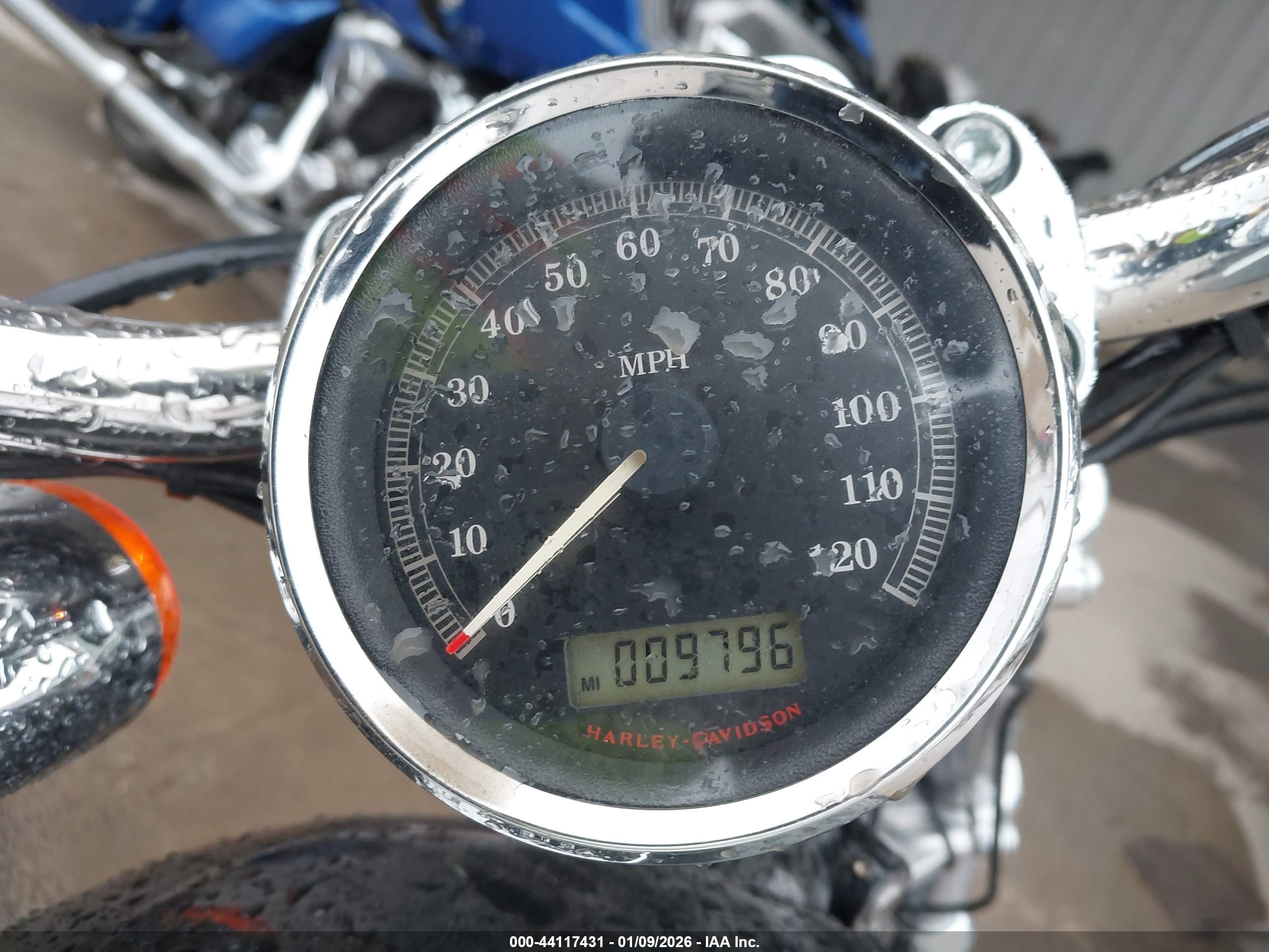 HARLEY-DAVIDSON XL883 image 7